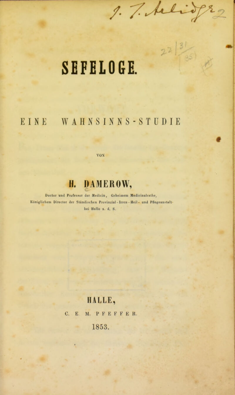 SEFELOGE. EINE WAHNSINNS-STUDIE VON 11. DAMEROW, Duclor un l Professor der Medicin, Geheimem Medirinahalhe, Königlichem Direclor der Ständischen Provinzial - Irren - Heil - und Pfletieanstalt bei Halle a d. S. HALLE, C. E M. P F E F F E R. 1853.