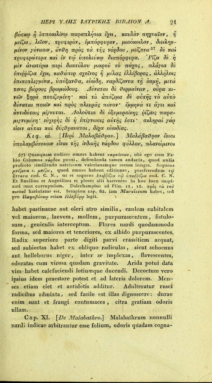 ^oaxco ^ IrcTtoaiXivca TraQaTiXi^Gta ij^a, xavlov jTi^xvaiov, ?} HiiX,o3, XiXov, TQvcf iQov, EfinoQqiVQOv, [iiaoitoiXov, dinXt]^- fisvov yovaaiv, uv&rj hq6(; tc< rijq vccQdov, [lii^ova^^ ds xai TQVcptQ(oviQa xai iv rco vitoXivxco diaTXOQcpvQa. 'PiQa de tj [AiV avcoTiQco TiiQi dwATvXov [iiHQOv To TTajfog;, nXdyia Se iTTiQQi^ia 6/«, xadaniQ a'ioivoq ij (iiXaq lX)J^0Q0<;, aXXr{koiq iTvminXiyniva, vno^avda, ivojdt], vaQdiQovxa rij 6aiA.ij, [htcx Tivog ^cxQOvg ^Qca^icodovg. ^vvarai ds •diQfialvnv, ovqu xi~ vtZv ^riQa noTit,o[ievr]' xai ro anot^tfta 3s avr^g ro avro Svvarat noitlv xai nQog nXtvQag novov' i[A[ir]V<x rt ayn xai ttVTidoToig [iv/vvTai. /loXovrat ds oS,v[xvQaivr]g Qi^aig naQa- (iiyvv[isvr]' ivytQrjg dk rj iniyvcoaig avrrjg iari' axXr]Qai yccQ ilatv avxai xai dvg&Qavaroi, dixa tvcodiag. Ktcf. la. [TliQi MaXa^oc&Qov.] MaXcx^a&QOV svioi vnoXa[j,^dvovaiv tivai rrjg ivdixrjg vaQdov cpvXXov, nXavco^itvot 57) Qiianquam codiccs omnes habent voQxiaaov , iiTji ego cnm Fa- l)io Columna vaqSov posui, defendenda tamen audacia, quod milla piofccto similitudo narcissum valerianamquc secura iungat. Scqucns fisiCova s. fiStCo}, quod omucs habcnt cditiones, jiracfercndura Tt3 ijirova cod. C. N., ut et scqucns eni(}ni'^ia ito vno^oiX^a cod. C. N. Et Rucllius et Anguillara et plures alii haercntes in hoc loco susi^i- cati sunt comiptelam. Dalcchampius ad Plin. 12, 12. nQog ru rou xiaaov hariolatus est. Scrapion cap. 62. iam Marciscum habct, scd pro ilttifo^oay.M etiam ellepoQtx) legit. i habet pastinacae aiit oleri atro similia, canleni cubitalem vel maiorern, laeveni, mollem, purpurasccntem, Ilstulo- sum, geniculis interceptum. Flores nardi quodammodo forma, sed maiores et tencriores, ex albido purpurascentes. Radix superiore parte digiti parvi crassitiem aequat, sed subiectas babet cx obliquo radiculas, sicut schocnus ant helleborus niger, intcr se implcxas, flavescentes, odoratas ciim virosa quadam gravitate. Arida potui data vim habet caJefaciendi lotiumque ducendi. Decoctnm vero ipsius idem praestare potest et ad lateris dolorcm. Men- ses etiam ciet et antidotis additur. Adulteratur rusci radicibus admixta^ sed facile cst illas dignoscere: durae enim sunt et frangi contumaces , citra gratiam odoi-is ullam. Cap. XI. [Z?(? Malabathro^ Malabathrum nonnulli nardi indicae arbitrantur esse folium, odoris quadam cogna-