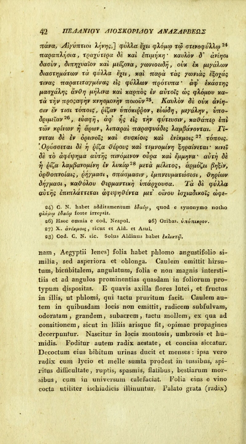 Txava, Alyvmioi Xi-jVTjg,'] cpvXla ej^a qpXo/«» rto aT(VO(pvXX(o naganXTjOia, XQaivxiQa Se ttai iniftyxt] • xavXov 5' avltjai daavv, dmriivalov nai fid^ova, ymiotidri, ovx la (iiyaXcov Siaaxjjndx(av xa ^.vXXa tfjti, xat naQo. ras ymviaq i^ofai^ rtvaq nagaxixay^epag tlg (pvXXoov TtQOXvna' acp Ixaaxtjq fiaaxccXrji avO/j fi)^Xiva xai xaQnog iv avxoig cog cpXofiov xa- xa tijV nQogarfrjv xvt]a/i.ovt]V noiovv^^. KavXov ds ovx dviri- Giv tv xiai xonoig, (ii^Qav vnoxiQQOV, ivcodrj, fiiydXtjv, vno^ dQifitlav^^, (vaqtj, d(jj 7jg tig tjjv cpvxivaiv, xa&dntQ eni rdSv xQivoov jj uqojv, XinoQai naQa(fvddig Xafi^dvovxai. ri- Vtxai ds iv oQtivotg xai avaaiotg xai ivixfioig ronotg. \OQvaatrai 8i rj Qit^a \)^6Q0vg xai rtfjivofiivt] ^tjQaivtxai' xtvtZ de rb dqiexlirjtia avtrjg ntvofitvov ovQa xai Sfifirjva' avxrj de Tj QiC,a Xafi^avofjtbvtj Iv Xvxico^^ fitxd fiiXixog, dQfioC,ti ^rj^lv, OQOonvoiaig, Qtjyfxaai, andafiaaiv, ifinvtvfiaxooatai, OtjQiajv drjyfjiaat, xa&oXou &tQfiavxtxt] vndQ'/^ovaa. Td dt (pvXXct Qcvttig ininXaxxttai dtt^irj&ivxa fitt olvov iaxiadixoTg (o(pt- 24) C N. habct addif .imcntum ISauo ^ qnod c syuonymo notho qikofjip iSaicp forte irrepsit. 26) Haec oinuia c cod. Neapol. 96) Oribas. vnortix^oy. 27) X. avixfiotq , siciit ct Ald. et Aeul, 28) Cod. C. N. sic. Solus Aldinus habet ixlixT^. nam , Aegyptii lenes] folia habet plilomo angustifolio si- milia, sed asperiora et oblonga. Caulem emittit hirsu- tum, bicnbitalem, angulatum, folia e non magnis intersti- tiis et ad angulos prominentias quasdam in foliorum pro- t^^^pum dispositas. E quavis axilla flores lutei, et fructus in illis, ut phlomi, qui tactu pruritura facit. Caulem au- tem in quibusdam locis non emittit, radicem subfulvam, odoratam , grandem, subacrem, tactu moUem, ex qua ad consitionem, sicut in liliis arisque fit, opimae propagines decerpuntur. Nascitur in locis montosis, umbrosis et hu- midis. Foditur autero radix aestate, et concisa siccatur. Decoctum eius bibitum urinas ducit et menses : ipsa vero radix cum lycio et melle sumta prodest in tussibus, spi- rilus difficultate, ruptis, spasmis, flalibus, bestiarum mor- sibus, cum iu universum calefaciat. Folia eius e vino cocta utiliter ischiadicis illiuuntur. Palato grata (radix)
