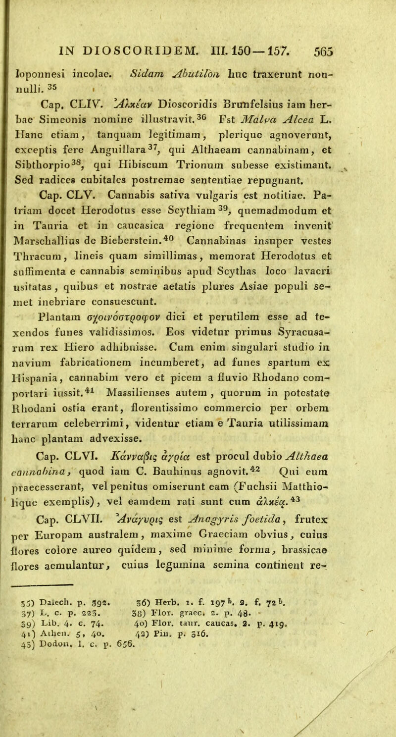 lopoiinesi incolae. Sidam ^butiloii huc traxerunt non- iiulli. 35 Cap. CLIV^. lAMtav Dioscoridis BruTifelsius iam her- bae Simeonis nomine illustravit. ^6 Pst Malpa Alcea L. Hanc etiam, tanquam legitimam, plerique aj^noverunt, I exceptis fere Anguillara^^, qni Althaeam cannabinam, et Sibthorpio^S, qui Hibiscum Trionum subesse existimant. Sed radices cubitales poslremae sententiae repugnant, I Cap. CLV. Cannabis sativa vulgaris est notitiae. Pa- i Iriam docet Herodotus esse Scythiam^^^ quemadmodum et in Tauria et in caucasica regione frequentem invenit Marschallius de Biebcrstein.*^ Cannabinas insuper vestes Thracum, lineis quam similhmas, memorat Herodotus et sullimenta e cannabis seminibus apud Scythas loco Javacri usitatas , quibus et nostrae aetatis plures Asiae populi se- uiet inebriare consuescunt. Plantam o-fpiVortXQO^iov dici et perutilem esse ad te- xendos funes validissimos. Eos videtur primus Syracusa- rum rex Iliero adhibuisse. Cum enim singulari studio in navium fabricationem incumberet, ad funes spartum es llispania, cannabim vero et picem a fluvio Rhodano com- portari iussit.*^ Massilienses autem , quorum in potestate Rhodani ostia erant, florentissimo commercio per orbem terrarum celeberrimi, videntur etiam e Tauria utilissimam hanc plantam advexisse. Cap. CLVI. Kdvva^tq a/Qta est procul dubio AttJiaea cannohina, quod iam C. Bauhinus agnovit.*^ Qiii eum praecesserant, velpenitus omiserunt eam (Fuclisii Matthio- ' lique exemplis), vel eamdem rati sunt cum aAxe^. *^ Cap. CLVII. AvdyvQig est Anagyris foetida, frutex pcr Europam australem, maxime Graeciam obvius, cuius flores colore aureo quidem, sed miuime forma;, hiassicae ilores aemulantur, cuius legumina semina contineut re- 53) Daiech. p. ggs. 36) Herb. 1. f. 197''. 3. f. 72''. 37) L. c. p. 223. 38) FloT. gracc. 2. p. 48. 59) Lib. 4. c. 74. 40) rior. taiir. caucas. 3. p. 419. 41^ Aiheii. 5, 40. 42) Piii. p. 316. 45) Dodon. 1. c. p. 656.