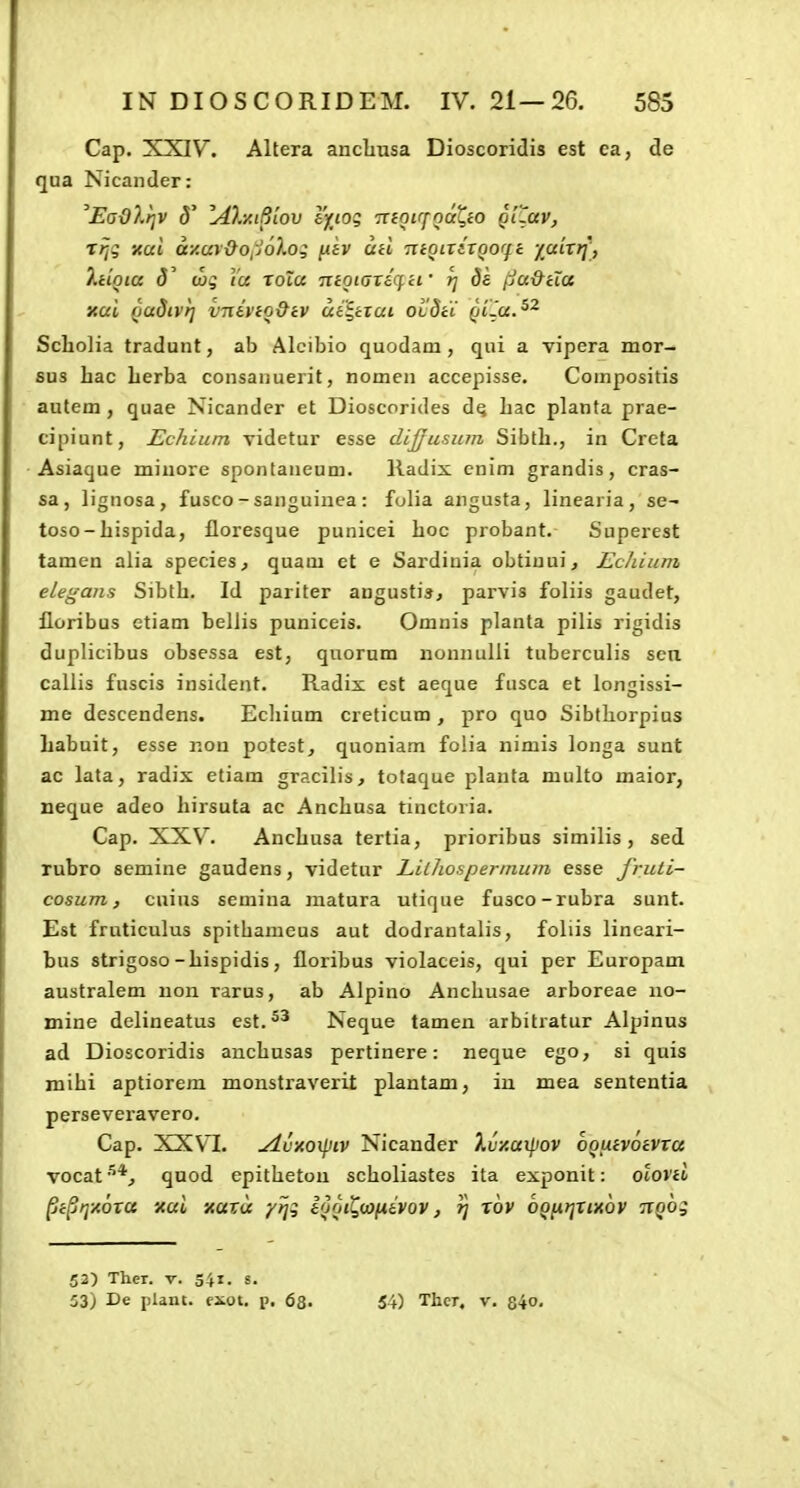 Cap. XXIV. Altera ancliusa Dioscoridis est ca, de qua Nicander: ^EaOVriv S lA).y.i8L0v ejrtog 'nioirfQoQio Quav, Ttjg xai ay.av&o,j6}.og /isv oh TieoirhQOfft yairrf, y.doia 5' (hq \'a xoXa ■nioKjricf.if rj de jjU&Ha Xui QudlVt] VTliviO&cV uii,irui ocdci Qilu.^^ Scholia tradunt, ab Alcibio quodam , qui a vipera mor- sus hac Lerba consanuerit, nomen accepisse. Compositis autem, quae Nicandcr et Dioscorides dq liac planta prae- cipiunt, Echium videtur esse dijjusum Sibth., in Creta Asiaque miuore sponfaneum. lladix enim grandis, cras- sa, lignosa, fusco - sanguinea: folia angusta, linearia, se- toso-hispida, floresque punicei hoc probant. Superest tamen alia species, quam et e Sardinia obtinui, Echium elegans Sibth. Id pariter angustis, parvis foliis gaudet, floribus etiam belJis puniceis. Omnis planta pilis rigidis duplicibus obsessa est, quorum nonnuUi tuberculis sea callis fuscis insident. Radix est aeque fnsca et longissi- me descendens. Ecliium creticum , pro quo Sibthorpius habuit, esse r.on potest, quoniam folia nimis longa sunt ac lata, radix etiam gracihs, tofaque planta multo maior, neque adeo hirsuta ac Anchusa tinctoria. Cap. XXV. Anchusa tertia, prioribus similis , sed rubro semine gaudens, videtur Lilho.spei-mum esse jruti- cosum, cuius semina matura utique fusco-rubra sunt. Est frnticulus spithameus aut dodrantalis, foliis lincari- bus strigoso-hispidis, floribus violaceis, qui per Europam australem uon rarus, ab Alpino Anchusae arboreae uo- mine delineatus est. Neque tamen arbitratur Alpinns ad Dioscoridis anchusas pertinere: neque ego, si quis mihi aptiorem monstx'averit plantam, iu mea sententia perseveravero. Cap. XXVI. yluxoxpiv Nicander Xvy.axpov oouivoivxa vocat'^*, quod epitheton scholiastes ita exponit: oloviu pi^qxoxa icai xaxa -/tji iQQi^uyfiivov, ri xbv OQfitjxixov TtQO^ 52) Thcr. V. 541. s. 53) De plant. exot, p, 68- 54) Thcr. V. 84o.