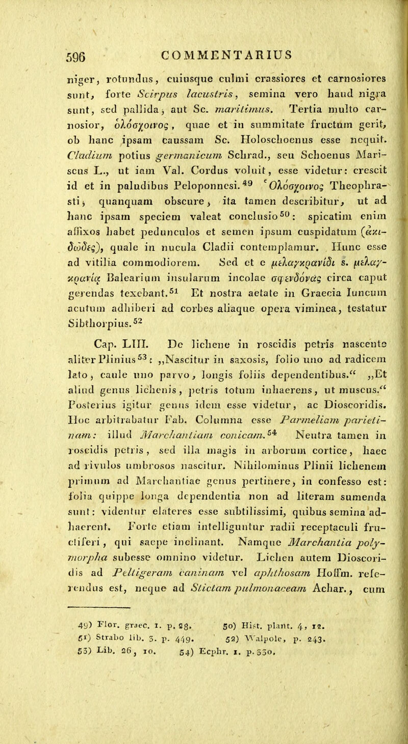 niger, rottinJas, cuiusque culnii crassiorcs et carnosiores sunt, forte Scirpiis lacuslris, semina vero haud nigra sunt, sed pallida, aut Sc. mariliiiius. Tertia multo car- nosior, oAoV/otrog, quae et in summitate fructum gerit, ob hanc ipsam caussam Sc. Holoschoenus esse ncquit. Cladium potius germanicum Schrad., seu Schoenus Mari- scus L., ut iam Val. Cordus voluit, esse videtur: crescit id et in paludibns Peloponncsi. ^*'' ^Oloaypivoq Theophra- sti j quanqaani obscure ^ ita tamen describitur, ut ad hanc ipsam speciem valeat conclusio^^: spicatinx enim affixos habet pedunculos et semen ipsuni cuspidatum («Zi- §Lo8tq\ quale in nucula Cladii contemplamur. Hunc esse ad vitilia commodiorem. Sed et e ^tlw/xQavidi s. fitXay- HQuvicc Balearium insularum incolae aqcvdovdg circa caput gerendas texcbant.^^ Et nostra aetate in Graecia luncum acutum adhiljeri ad corbes aliaque opera viminea, testatur Sibthorpius.^^ Cap. LTII. Dc lichene in roscidis petris nascents alitcr Plinius : ,,Nascitur in saxosis, folio uno ad radiceiu lafo, caule uiio parvo, longis foliis dependentibus. ,,Et alind genus lichenis, petris totum inhaerens, ut museus. Po-sterius igitur genus idem esse videtur, ac Dioscoridis. Uoc arbitrabatur Fab. Columna csse Parmeliam parieti- vam: illud MarcJianliani conicam.^'^ Neufra tamen in roscidis pctris, sed illa magis in ai boruin cortice, liaec ad rivulos umbrosos nascitur. Nihilominus Plinii lichenem primum ad Marcbautiae genus pertinerC) in confesso est: folia quippe loiiga dependentia non ad literam sumenda sunt: videntur elatcres esse subtilissimi, quibus semina ad- liacrent. Forfe etiam infelliguntur radii receptaculi fru- clifcri, qui saepe inelinant. Namqne Marchaniia poly- Tiwrpha subesse omnino vidctur. Lichen autera Dioscori- dis ad Ptlllgeram ccmincun vel aphihosam Hoffm. rele- ji.ndus est, neque ad Siictam pulmonaceam Achar., cum 49) Flor. graec. t. p. Eg. So) Hift. plailt. 4, I2, 51) Stralio lib. 3. r- 449. 53) \^'.ilpolc, p. 243. S3) Lib. 26 j jo. 54) Ecphr. i. p. 53o,