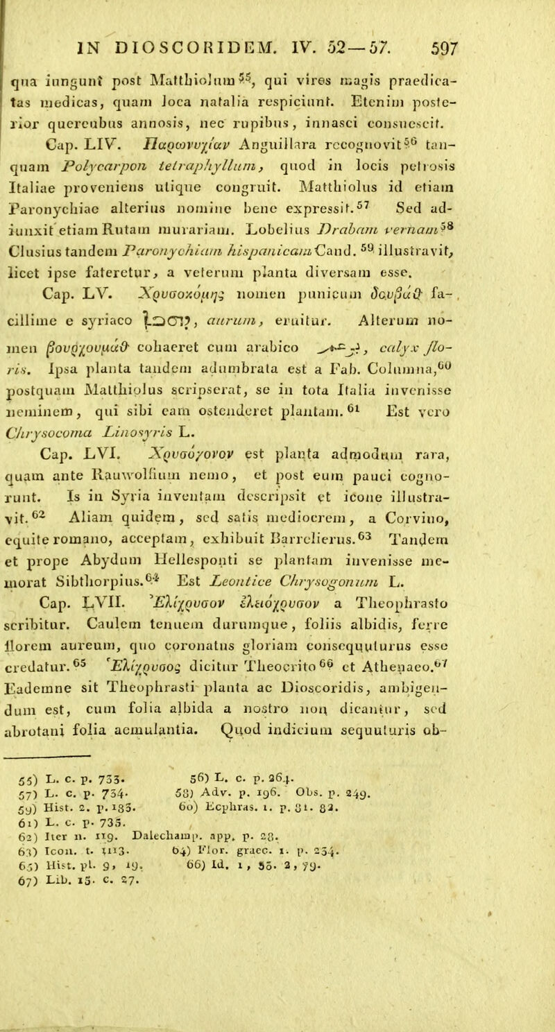 q?ia inngunt post MaftbioJaiu qui vires n.agis praedlca- tas iiiedicas, quani Joca natalia respiciiinf. Etcnini posfc- jior qucrcubus annosis, nec rupibus, innasci consucscif. Cap. LIV. TlaQOOvuilav Anguillara rccognovit?'^ tan- quam Polycarpon telrapliylluni, quod in locis petiosis Italiae provcniens uliqiie congruit. Mattbiolus id efiain Paronycbiae alterius noniine bene expressif. Sed ad- iuiixit etiam Rutain muiariaui. Lobelius Drahnrn vernaui^^ Clusius tandcni Paronyvhiuin fiiyjanicaiii^Citni]. ^'^ illustravit^ licet ipse faterctur^ a veterum planta diversam esse. Cap. LV. XQuaoy.o^ti]^ nouien j)unicuin Sov^juQ- fii- , cillime e syriaco ^QOI?, auruni, eruitur. Alterum no- jnen ^ovQy_ou{.ia& cobaeret cum arabico , calyx Jlo~ rin. Ipsa plaiita tandem adumbrala est a Fab. Coliimua,''^ postquam MattbioJus scripscrat, sc in tota Italia invonisse iicminem, qui sibi cam ostcndcrct plujitam. Est vcro Chiysoconia Liiiosyris L. Cap. LVI. XQvaoyovov est planta admodmn rara, quam ante RauwoKium nemo, et post eum pauci cogno- runt. Is in Syria invunfam dcscripsit et icone illustra- vit. Aliam quidem, scd satis mcdiocrem, a Corvino, cquite romano, acceplam, exbibuit Barrclierus.^^ Tandcm et prope Abydum Hcllesponti se jolanfam invenisse me- morat Sibtliorpius.^* Est Leontice Chrysogonnni L. Cap. LVII. Eliinvoov iXiio/^ouaov a Tlieophrasto scribitur. Caulem teiuiem durunujue, foliis albidis, feire llorem aureum, quo cpronatus gloriam conscqquturus cssc credatur.^* EXiynvoog dicitur Tlieociito ct Atbenaco.' Eademne sit Tbeoplirasti plauta ac Dioscoridis, ambigeu- dum est, cum folia albida a noatro iion dicantur, sed abrotani folia acmuJanlia. Quod indicium sequuluris ob- 55) L. c. p. 733. 5fi) L. c. p. 964. 57) L. c. p. 734- 53) Adv. p. 196. Obs. p. 249. 5y) Hist. 2. p. 133. ti<j) Kcplivas. 1. p. Ut. 83. 61) L. c. p. 735. 62) Iier n. 119. Dalecliaiiip. npy. p. 23. 6:0 Icoii. t. 1113- 04) l'Jor. graec. i. p. 234. 6.5) Hist.pl.. 9> 'y- i>&) lii. 1» 3o- 3,^9. 67) Lib. iS^ c. 27.