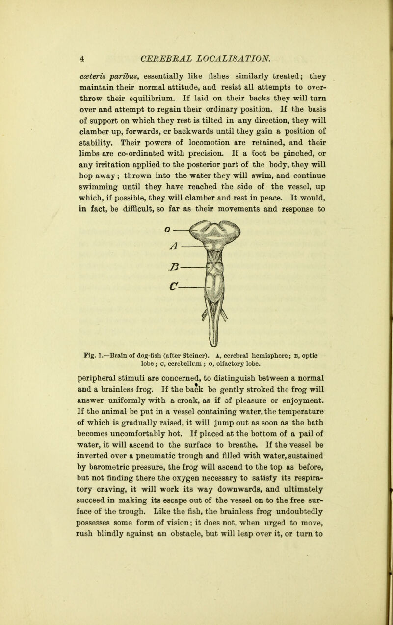 ccBteris paribus, essentially like fishes similarly treated; they maintain their normal attitude, and resist all attempts to over- throw their equilibrium. If laid on their backs they will turn over and attempt to regain their ordinary position. If the basis of support on which they rest is tilted in any direction, they will clamber up, forwards, or backwards until they gain a position of stability. Their powers of locomotion are retained, and their limbs are co-ordinated with precision. If a foot be pinched, or any irritation applied to the posterior part of the body, they will hop away; thrown into the water they will swim, and continue swimming until they have reached the side of the vessel, up which, if possible, they will clamber and rest in peace. It would, in fact, be difficult, so far as their movements and response to Fig. 1.—Brain of dog-fish (after Steiner). A, cerebral hemisphere; B, optic lobe ; c, cerebellum ; o, olfactory lobe. peripheral stimuli are concerned, to distinguish between a normal and a brainless frog. If the back be gently stroked the frog will answer uniformly with a croak, as if of pleasure or enjoyment. If the animal be put in a vessel containing water, the temperature of which is gradually raised, it will jump out as soon as the bath becomes uncomfortably hot. If placed at the bottom of a pail of water, it will ascend to the surface to breathe. If the vessel be inverted over a pneumatic trough and filled with water, sustained by barometric pressure, the frog will ascend to the top as before, but not finding there the oxygen necessary to satisfy its respira- tory craving, it will work its way downwards, and ultimately succeed in making its escape out of the vessel on to the free sur- face of the trough. Like the fish, the brainless frog undoubtedly possesses some form of vision; it does not, when urged to move, rush blindly against an obstacle, but will leap over it, or turn to