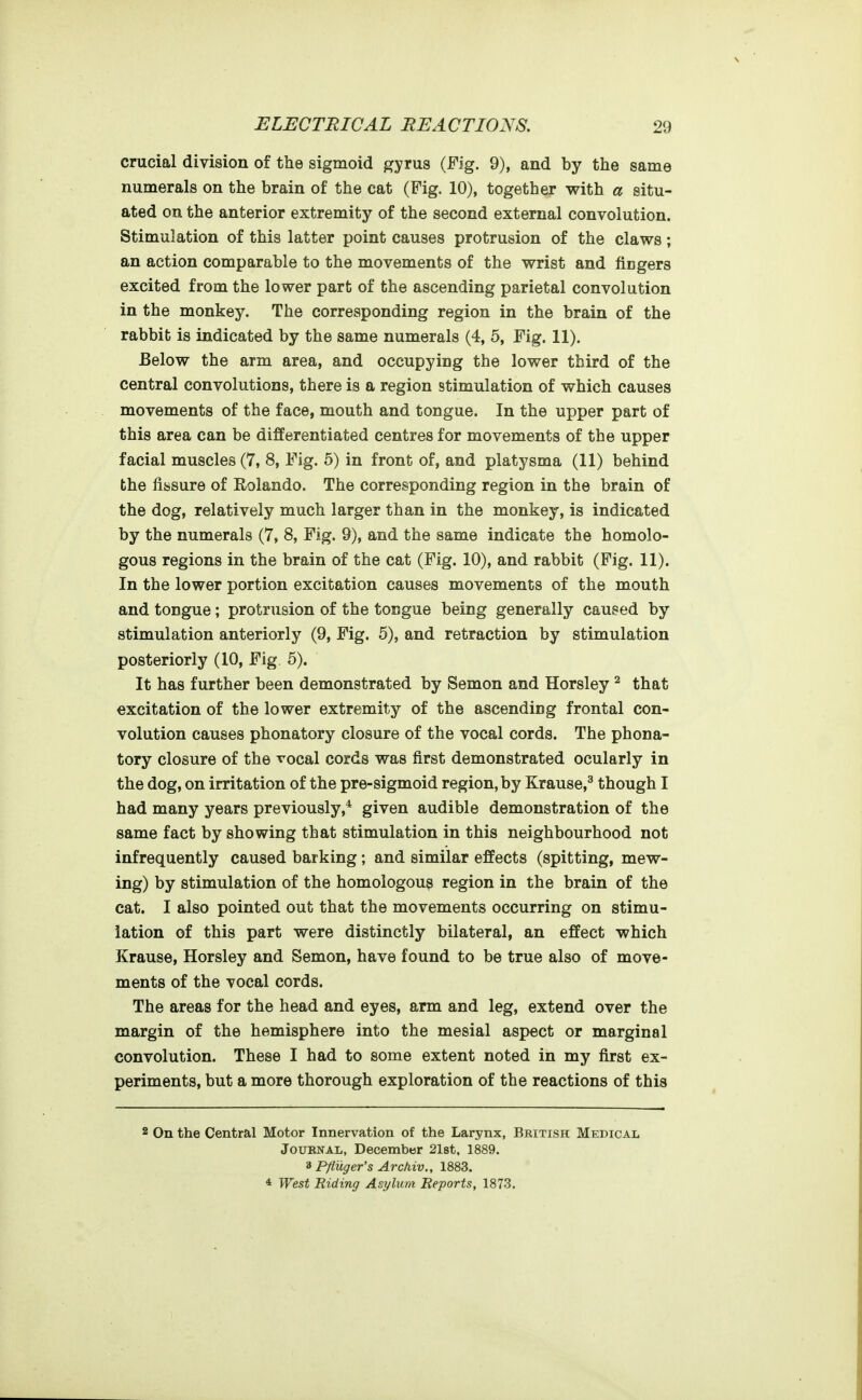 crucial division of the sigmoid gyrus (Fig. 9), and by the same numerals on the brain of the cat (Fig. 10), together with a situ- ated on the anterior extremity of the second external convolution. Stimulation of this latter point causes protrusion of the claws; an action comparable to the movements of the wrist and fingers excited from the lower part of the ascending parietal convolution in the monkey. The corresponding region in the brain of the rabbit is indicated by the same numerals (4, 5, Fig. 11). Below the arm area, and occupying the lower third of the central convolutions, there is a region stimulation of which causes movements of the face, mouth and tongue. In the upper part of this area can be differentiated centres for movements of the upper facial muscles (7, 8, Fig. 5) in front of, and platysma (11) behind the fissure of Rolando. The corresponding region in the brain of the dog, relatively much larger than in the monkey, is indicated by the numerals (7, 8, Fig. 9), and the same indicate the homolo- gous regions in the brain of the cat (Fig. 10), and rabbit (Fig. 11). In the lower portion excitation causes movements of the mouth and tongue; protrusion of the tongue being generally caused by stimulation anteriorly (9, Fig. 5), and retraction by stimulation posteriorly (10, Fig 5). It has further been demonstrated by Semon and Horsley ^ that excitation of the lower extremity of the ascending frontal con- volution causes phonatory closure of the vocal cords. The phona- tory closure of the vocal cords was first demonstrated ocularly in the dog, on irritation of the pre-sigmoid region, by Krause,^ though I had many years previously,* given audible demonstration of the same fact by showing that stimulation in this neighbourhood not infrequently caused barking; and similar effects (spitting, mew- ing) by stimulation of the homologous region in the brain of the cat. I also pointed out that the movements occurring on stimu- lation of this part were distinctly bilateral, an effect which Krause, Horsley and Semon, have found to be true also of move- ments of the vocal cords. The areas for the head and eyes, arm and leg, extend over the margin of the hemisphere into the mesial aspect or marginal convolution. These I had to some extent noted in my first ex- periments, but a more thorough exploration of the reactions of this 2 On the Central Motor Innervation of the Larynx, British Medical JouRNAi,, December 2l8t, 1889. 3 Pfiuger's Arcfiiv,, 1883. 4 West Biding Azylum Reports, 1873.