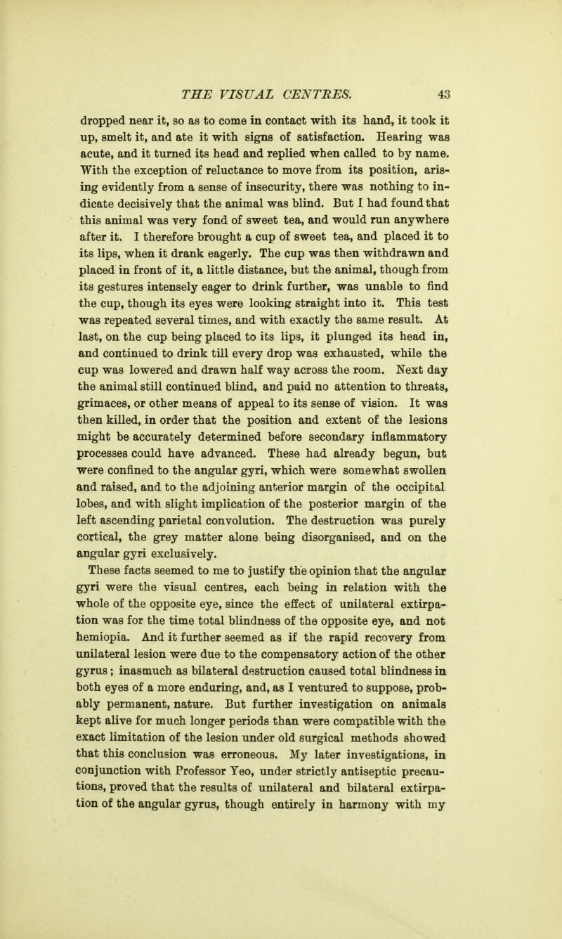 dropped near it, so as to come in contact with its hand, it took it up, smelt it, and ate it with signs of satisfaction. Hearing was acute, and it turned its head and replied when called to by name. With the exception of reluctance to move from its position, aris- ing evidently from a sense of insecurity, there was nothing to in- dicate decisively that the animal was blind. But I had found that this animal was very fond of sweet tea, and would run anywhere after it. I therefore brought a cup of sweet tea, and placed it to its lips, when it drank eagerly. The cup was then withdrawn and placed in front of it, a little distance, but the animal, though from its gestures intensely eager to drink further, was unable to find the cup, though its eyes were looking straight into it. This test was repeated several times, and with exactly the same result. At last, on the cup being placed to its lips, it plunged its head in, and continued to drink till every drop was exhausted, while the cup was lowered and drawn half way across the room. Next day the animal still continued blind, and paid no attention to threats, grimaces, or other means of appeal to its sense of vision. It was then killed, in order that the position and extent of the lesions might be accurately determined before secondary inflammatory processes could have advanced. These had already begun, but were confined to the angular gyri, which were somewhat swollen and raised, and to the adjoining anterior margin of the occipital lobes, and with slight implication of the posterior margin of the left ascending parietal convolution. The destruction was purely cortical, the grey matter alone being disorganised, and on the angular gyri exclusively. These facts seemed to me to justify the opinion that the angular gyri were the visual centres, each being in relation with the whole of the opposite eye, since the effect of unilateral extirpa- tion was for the time total blindness of the opposite eye, and not hemiopia. And it further seemed as if the rapid recovery from unilateral lesion were due to the compensatory action of the other gyrus; inasmuch as bilateral destruction caused total blindness in both eyes of a more enduring, and, as I ventured to suppose, prob- ably permanent, nature. But further investigation on animals kept alive for much longer periods than were compatible with the exact limitation of the lesion under old surgical methods showed that this conclusion was erroneous. My later investigations, in conjunction with Professor Yeo, under strictly antiseptic precau- tions, proved that the results of unilateral and bilateral extirpa- tion of the angular gyrus, though entirely in harmony with my