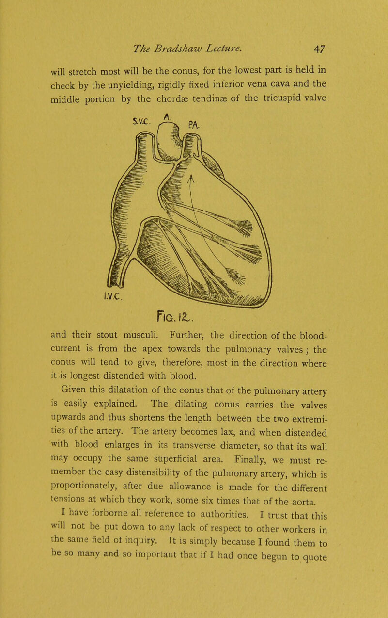 will stretch most will be the conus, for the lowest part is held in check by the unyielding, rigidly fixed inferior vena cava and the middle portion by the chordae tendinse of the tricuspid valve and their stout musculi. Further, the direction of the blood- current is from the apex towards the pulmonary valves j the conus will tend to give, therefore, most in the direction where it is longest distended with blood. Given this dilatation of the conus that of the pulmonary artery is easily explained. The dilating conus carries the valves upwards and thus shortens the length between the two extremi- ties of the artery. The artery becomes lax, and when distended with blood enlarges in its transverse diameter, so that its wall may occupy the same superficial area. Finally, we must re- member the easy distensibility of the pulmonary artery, which is proportionately, after due allowance is made for the different tensions at which they work, some six times that of the aorta. I have forborne all reference to authorities. I trust that this will not be put down to any lack of respect to other workers in the same field of inquiry. It is simply because I found them to be so many and so important that if I had once begun to quote