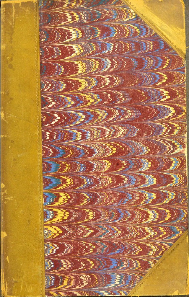 No text description is available for this image