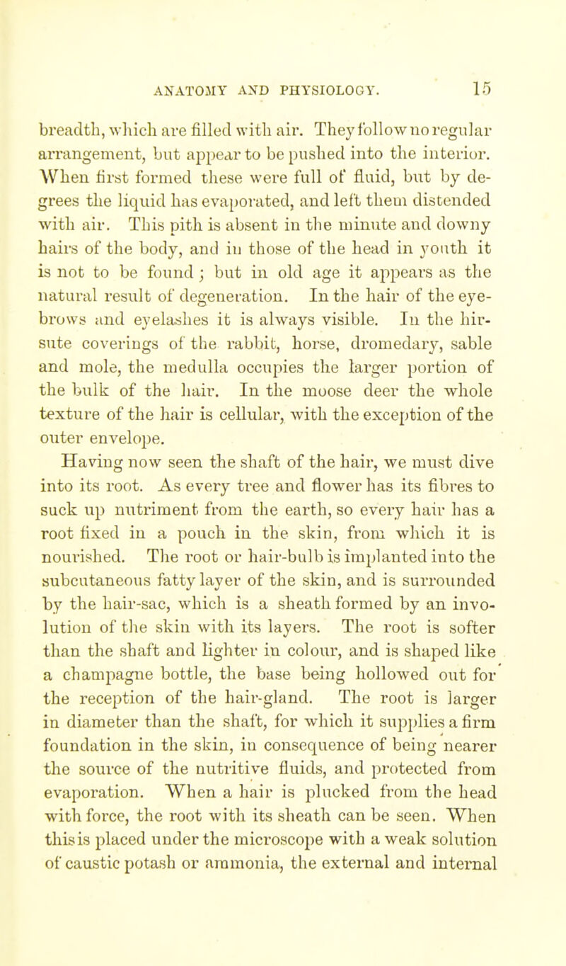 breadth, which are filled with air. They follow no regular arrangement, but appear to be pushed into the interior. When first formed these were full of fluid, but by de- grees the liquid has evaporated, and left them distended with air. This pith is absent in the minute and downy hairs of the body, and in those of the head in youth it is not to be found ; but in old age it appears as the natural result of degeneration. In the hair of the eye- brows and eyelashes it is always visible. In the hir- sute coverings of the rabbit, horse, dromedar}^, sable and mole, the medulla occupies the larger portion of the bulk of the hair. In the moose deer the whole texture of the hair is cellular, with the exception of the outer envelope. Having now seen the shaft of the hair, we must dive into its root. As every tree and flower has its fibres to suck up nutriment from the earth, so every hair has a root fixed in a pouch in the skin, from which it is nourished. The root or hair-bulb is implanted into the subcutaneous fatty layer of the skin, and is surrounded by the hair-sac, which is a sheath formed by an invo- lution of the skin with its layers. The root is softer than the shaft and lighter in colour, and is shaped like a champagne bottle, the base being hollowed out for the reception of the hair-gland. The root is larger in diameter than the shaft, for which it supplies a firm foundation in the skin, in consequence of being nearer the source of the nutritive fluids, and protected from evaporation. When a hair is plucked from the head with force, the root with its sheath can be seen. When this is placed under the microscope with a weak solution of caustic potash or ammonia, the external and internal