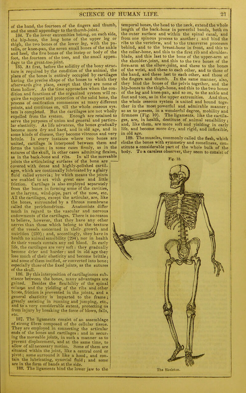 of the hand, the fourteen of the fingers and thumb, and the small appendage to the thumb-joint. 184. To the lower extremities belong, on each side, the hip-bone, the long bone of the upper leg or thigh, the two bones of the lower leg, with the pa- tella, or knee-pan, the seven small bones of the ankle and heel, the five bones of the instep or body of the foot, the fourteen of the toes, and the small appen- dage to the great-toe-joint. 185. At first, before the solidity of the bony struc- ture is required by the condition of the animal, the place of the bones is entirely occupied by cartilages having the precise shape of the bones to which they afterwards give place, except that they are none of them hollow. As the time approaches when the con- dition and functions of the organized system will re- quire the support and protection of the solid bone, the process of ossification commences at many different points, and continues on, till the whole osseous sys- tem is completed. But the cartilages are not wholly expelled from the system. Enough are retained to serve the purposes of union and general and particu- lar elasticity. As life advances, the bones gradually become more dry and hard, and in old age, and in some kinds of disease, they become vitreous and very brittle. In every instance where two bones are united, cartilage is interposed between them and forms the union: in some cases firmly, as in the sutures of the skull, in other cases admitting flexion, as in the back-bone and ribs. In all the moveable joints the articulating surfaces of the bone are covered with dense and highly-polished cartil- ages, which are continually lubricated by a glairy fluid called synovia; by which means the joints are enabled to act with great ease and little friction. Cartilage is also employed separately from the bones in forming some of the cavities, as the larynx, wind-pipe, part of the nose, etc. All the cartilages, except the articular, are, like the bones, surrounded by a fibrous membrane called the perichondrium. Anatomists differ much in regard to the vascular and nervous endowments of the cartilages. There is no reason to believe, however, that they have any other nerves than those which belong to the texture of the vessels concerned in their growth and nutrition (230) : and, accordingly, they have in health no animal sensibility (294), nor in health do their vessels contain any red blood. In early life, the cartilages are very soft: they gradually become drier and harder: and in old age they lose much of their elasticity and become brittle; and some of them ossified, or converted into bone; especially those of the fixed joints, as the sutures of the skull. 186. By this interposition of cartilaginous sub- stance between the bones, many advantages are gaiued. Besides the flexibility of the spinal coluo^ and the yielding of the ribs and other bo.acs, friction is prevented in the joints, and a general elasticity is imparted to the frame; greatly assisting in running and jumping, etc., and to a very considerable extent, protecting us from injury by breaking the force of blows, falls, etc. 187- The ligaments consist of an assemblage of strong fibres composed of the cellular tissue. They are employed in connecting the articular ends of the bones and cartilages : and in secur- ing the moveable joints, in such a manner as to prevent displacement, and at the same time, to allow of all necessary motion. Some of them are situated within the joint, like a central cord or pivot; some surround it like a hood, and con. tain the lubricating, synovial fluid; and some are in the form of bands at the side. 188, The ligaments bind the lower jaw to the temporal bones, the head to the neck, extend the whole length of the back-bone in powei'ful bands, both on the outer surface and within the spinal canal, and from one spinous process to another; and bind the ribs to the vertebrae, and to the transverse processes behind, and to the breast-bone in front, and this to the collar-bone, and this to the first rib and shoulder, blade, and this last to the bone of the upper-arm at the shoulder-joint, and this to the two bones of the fore-arm at the elbow-joint, and these to the bones of the wrist, and these to each other, and to those of the hand, and these last to each other, and those of the fingers and thumb. In the same manner, also, they bind the bones of the pelvis together, and the hip-bones to the thigh-bone, and this to the two bones of the leg and knee-pan, and so on, to the ankle and foot and toes, as in the upper extremities. And thus, the whole osseous system is united and bound toge- ther in the most powerful and admirable manner ; so as to possess, in a wonderful degree, mobility and firmness (Fig. 10). The ligaments, like the cartila. ges, are, in health, destitute of animal sensibility; and, like them, are more soft and yielding in early life, and become more dry, and rigid, and inflexible, in old age. 189. The muscles, commonly called the flesh, which clothe the bones with symmetry and comeliness, con- stitute a considerable part of the whole bulk of the body. To a careless observer, they seem to consist of Fig. 10. The Skeleton.