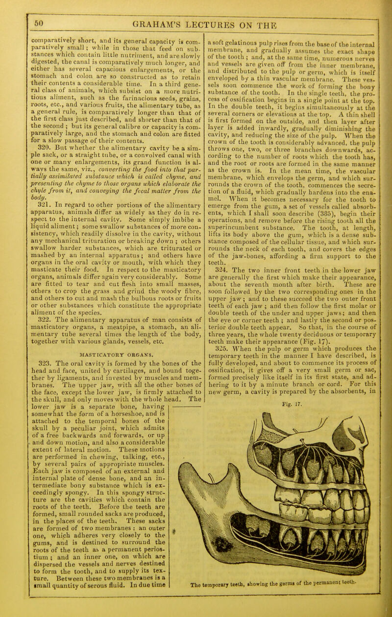 comparatively short, and its general capacity is com- paratively small; while in those that feed on sub. stances which contain little nutriment, andareslowlv digested, the canal is comparatively much longer, and either has several capacious enlargements, or the stomach and colon are so constructed as to retain their contents a considerable time. In a third gene- ral class of animals, which subsist on a more nutri- tious aliment, such as the farinacious seeds, grains, roots, etc., and various fruits, the alimentary tube, as a general rule, is comparatively longer than that of the first class just described, and shorter than that of the second ; but its general calibre or capacity is com- paratively large, and the stomach and colon are fitted for a slow passage of their contents. 320. But whether the alimentary cavity be a sim- ple sack, or a straight tube, or a convolved canal with one or many enlargements, its grand function is al- ways the same, viz., converting the food into that par- tially assimilated substance which is called chyme, and presenting the chyme to those organs which elaborate the chyle from it, and conveying the fecal matter from the body. 321. In regard to other portions of the alimentary apparatus, animals differ as widely as they do in re- spect to the internal cavity. Some simply imbibe a liquid aliment; some swallow substances of more con- sistency, which readily dissolve in the cavity, without any mechanical trituration or breaking down ; others swallow harder substances, which are triturated or mashed by an internal apparatus; and others have organs in the oral cavity or mouth, with which they masticate their food. In respect to the masticatory organs, animals differ again very considerably. Some are fitted to tear and cut flesh into small masses, others to crop the grass and grind the woody fibre, and others to cut and mash the bulbous roots or fruits or other substances v/hich constitute the appropriate aliment of the species. 322. The alimentary apparatus of man consists of masticatory organs, a meatpipe, a stomach, an ali- mentary tube several times the length of the body, together with various glands, vessels, etc. MASTICATORY ORGANS. 323. The oral cavity is formed by the bones of the head and face, united by cartilages, and bound toge- ther by ligaments, and invested by muscles and mem- branes. The upper jaw, with all the other bones of the face, except the lower jaw, is firmly attached to the skull, and only moves with the whole head. The lower jaw is a separate bone, having somewhat the form of a horseshoe, and is attached to the temporal bones of the skull by a peculiar joint, which admits of a free backwards and forwards, or up and down motion, and also a considerable extent of lateral motion. These motions are performed in chewing, talking, etc., by several pairs of appropriate muscles. Each jaw is composed of an external and internal plate of dense bone, and an in- termediate bony substance which is ex- ceedingly spongy. In this spongy struc- ture are the cavities which contain the roots of the teeth. Before the teeth are formed, small rounded sacks are produced, in the places of the teeth. These sacks are formed of two membranes : an outer one, which adheres very closely to the gums, and is destined to surround the roots of the teeth as a permanent perios- tium ; and an inner one, on which are dispersed the vessels and nerves destined to form the tooth, and to supply its tex- ture. Between these two membranes is a ■mall quantity of serous fluid. In due time a soft gelatinous pulp rises from the base of the internal membrane, and gradually assumes the exact shape of the tooth ; and, at the same time, numerous nerves and vessels are given off from the inner membrane, and distributed to the pulp or germ, which is itself enveloped by a thin vascular membrane. These ves- sels soon commence the work of forming the bony substance of the tooth. In the single teeth, the pro- cess of ossification begins in a single point at the top. In the double teeth, it begins simultaneously at the several corners or elevations at the top. A thin shell is first formed on the outside, and then layer after layer is added inwardly, gradually diminishing the cavity, and reducing the size of the pulp. M'^hen the crown of the tooth is considerably advanced, the pulp throws one, two, or three branches downwards, ac- cording to the number of roots which the tooth has, and the root or roots are formed in the same manner as the crown is. In the mean time, the vascular membrane, which envelops the germ, and which sur- rounds the crown of the tooth, commences the secre- tion of a fluid, which gradually hardens into the ena- mel. When it becomes necessary for the tooth to emerge from the gum, a set of vessels called absorb- ents, which I shall soon describe (385), begin their operations, and remove before the rising tooth all the superincumbent substance. The tooth, at length, lifts its body above the gum, which is a dense sub- stance composed of the cellular tissue, and which sur- rounds the neck of each tooth, and covers the edges of the jaw-bones, affording a firm support to the teeth. 324. The two inner front teeth in the lower jaw are generally the first which make their a])pearance, about the seventh month after birth. These are soon followed by the two corresponding ones in the upper jaw; and to these succeed the two outer front teeth of each jaw ; and then follow the first molar or double teeth of the under and upper jaws; and then the eye or corner teeth ; and lastly the second or pos- terior double teeth appear. So that, in the course of three years, the whole twenty deciduous or temporary teeth make their appearance (Fig. 17). 325. When the pulp or germ which produces the temporary teeth in the manner I have described, is fully developed, and about to commence its process of ossification, it gives off a very small germ or sac, formed precisely like itself in its first state, and ad- hering to it by a minute branch or cord. For this new germ, a cavity is prepared by the absorbents, in Fig. 17. The temporary teeth, »howing the germi of the permanent teoth-