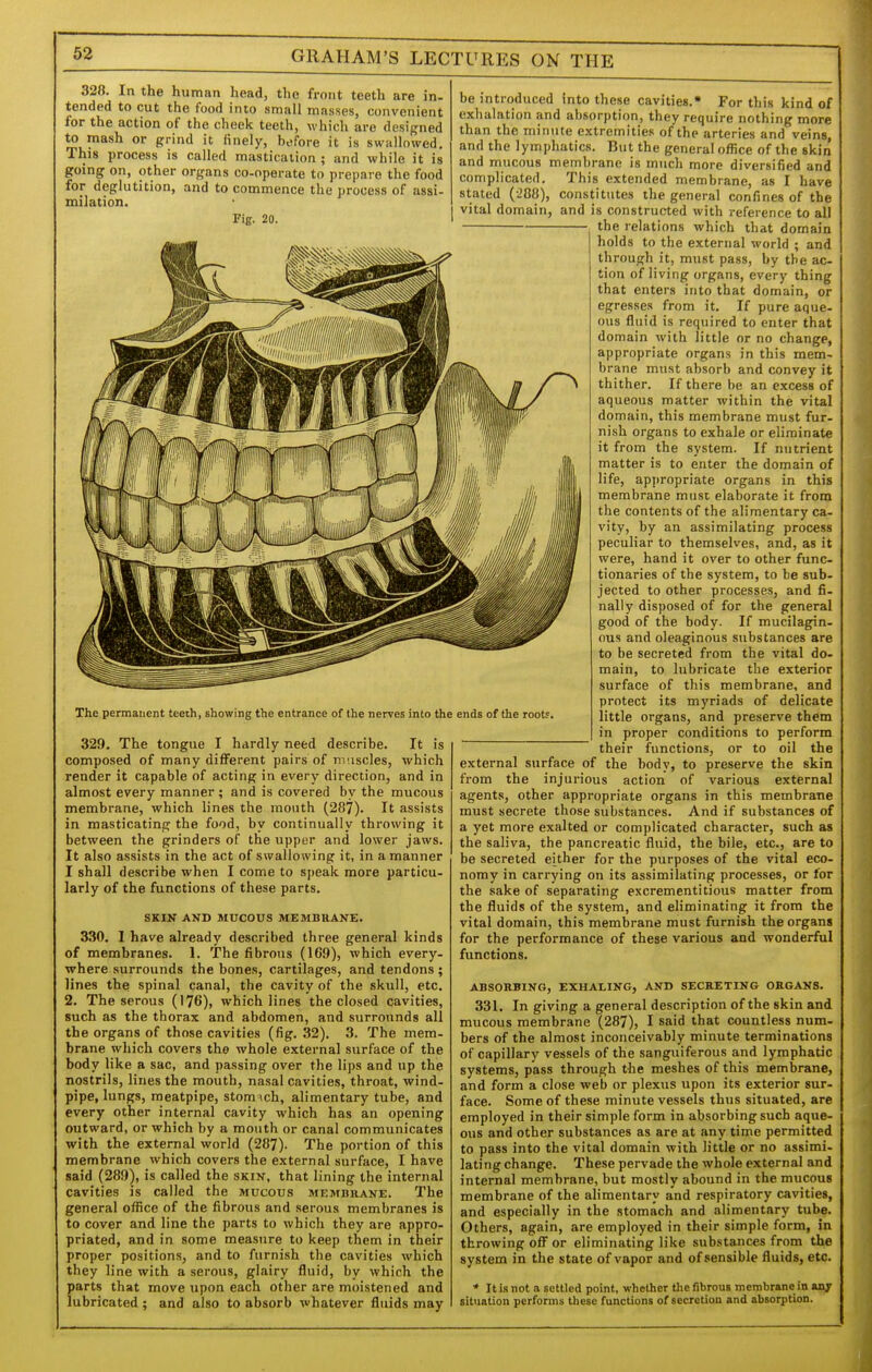 328. In the human head, the front teeth are in- tended to cut the food into small masses, convenient for the action of the cheek teeth, whicli are designed to mash or grind it iinely, hefore it is swallowed. This process is called mastication ; and while it is going on, other organs co-operate to prepare the food for deglutition, and to commence the process of assi- milation. Fig. 20. SKIN AND MUCOUS MEMBRANE. 330. I have already described three general kinds of membranes. 1. The fibrous (169), which every- where surrounds the bones, cartilages, and tendons; lines the spinal canal, the cavity of the skull, etc. 2. The serous (176)> which lines the closed cavities, such as the thorax and abdomen, and surrounds all the organs of those cavities (fig. 32). 3. The mem- brane which covers the whole external surface of the body like a sac, and passing over the lips and up the nostrils, lines the mouth, nasal cavities, throat, wind- pipe, lungs, meatpipe, stomach, alimentary tube, and every other internal cavity which has an opening outward, or which by a month or canal communicates with the external world (287). The portion of this membrane which covers the external surface, I have said (289), is called the skin, that lining the internal cavities is called the mucous membrane. The general office of the fibrous and serous membranes is to cover and line the parts to which they are appro- priated, and in some measure to keep them in their proper positions, and to furnish the cavities which they line with a serous, glairy fluid, by which the parts that move upon each other are moistened and lubricated ; and also to absorb whatever fluids may The permanent teeih, showing the entrance of the nerves into the ends of the rootF. 329. The tongue I hardly need describe. It is composed of many difl^erent pairs of niiiscles, which render it capable of acting in every direction, and in almost every manner; and is covered by the mucous membrane, which lines the mouth (287). It assists in masticating the food, by continually throwing it between the grinders of the upper and lower jaws. It also assists in the act of swallowing it, in a manner I shall describe when I come to speak more particu- larly of the functions of these parts. be introduced into these cavities. For this kind of exhalation and absorption, they require nothing more than the minute extremities of the arteries and veins, and the lymphatics. But the general office of the skin and mucous membrane is much more diversified and complicated. This extended membrane, as I have stated (-288), constitutes the general confines of the vital domain, and is constructed with reference to all the relations which that domain holds to the external world ; and through it, must pass, by the ac- tion of living organs, every thing that enters into that domain, or egresses from it. If pure aque- ous fluid is required to enter that domain with little or no change, appropriate organs in this mem- brane must absorb and convey it thither. If there be an excess of aqueous matter within the vital domain, this membrane must fur- nish organs to exhale or eliminate it from the system. If nutrient matter is to enter the domain of life, apjiropriate organs in this membrane must elaborate it from the contents of the alimentary ca- vity, by an assimilating process peculiar to themselves, and, as it were, hand it over to other func- tionaries of the system, to be sub- jected to other processes, and fi- nally disposed of for the general good of the body. If mucilagin- ous and oleaginous substances are to be secreted from the vital do- main, to lubricate the exterior surface of this membrane, and protect its myriads of delicate little organs, and preserve them in proper conditions to perform their functions, or to oil the external surface of the body, to preserve the skin from the injurious action of various external agents, other appropriate organs in this membrane must secrete those substances. And if substances of a yet more exalted or complicated character, such as the saliva, the pancreatic fluid, the bile, etc., are to be secreted e[ther for the purposes of the vital eco- nomy in carrying on its assimilating processes, or for the sake of separating excrementitious matter from the fluids of the system, and eliminating it from the vital domain, this membrane must furnish the organs for the performance of these various and wonderful functions. ABSORBING, EXHALING, AND SECRETING ORGANS. 331. In giving a general description of the skin and mucous membrane (287), I said 'hat countless num- bers of the almost inconceivably minute terminations of capillary vessels of the sanguiferous and lymphatic systems, pass through the meshes of this membrane, and form a close web or plexus upon its exterior sur- face. Some of these minute vessels thus situated, are employed in their simple form in absorbing such aque- ous and other substances as are at any time permitted to pass into the vital domain with little or no assimi- lating change. These pervade the whole external and internal membrane, but mostly abound in the mucous membrane of the alimentary and respiratory cavities, and especially in the stomach and alimentary tube. Others, again, are employed in their simple form, in throwing ofl' or eliminating like substances from the system in the state of vapor and of sensible fluids, etc. * It is not a settled point, whether the fibrous membrane in Bay situation performs these functions of secretion and absorption.
