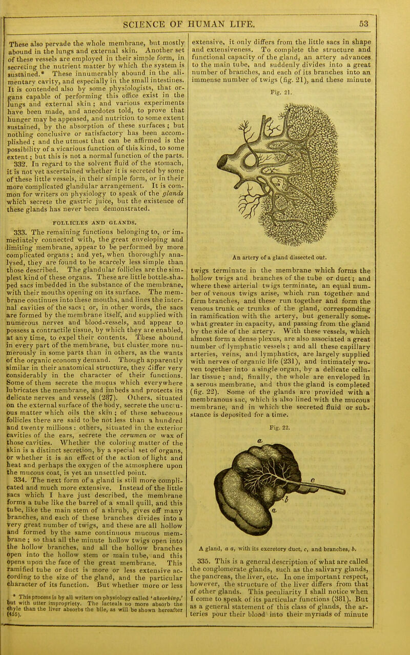r I I SCIENCE OF HUMAN LIFE. 53 These also pervade the whole membrane, but mostly abound in the lungs and external skin. Another set of these vessels are employed in their simple form, in secreting the nutrient matter by which the system is sustained.* These innumerably abound in the ali- mentary cavity, and especially in the small intestines. It is contended also by some physiologists, that or- gans capable of performing this office exist in the Jungs and e.Kternal skin ; and various experiments have been made, and anecdotes told, to prove that hunger may be appeased, and nutrition to some extent sustained, by the absorption of these surfaces ; but nothing conclusive or satisfactory has been accom- plished ; and the utmost that can be affirmed is the possibility of a vicarious function of this kind, to some extent; but this is not a normal function of the parts. 332. In regard to the solvent fluid of the stomach, it is not yet ascertained whether it is secreted by some of these little vessels, in their simple form, or in their more complicated glandular arrangement. It is com- mon for writers on physiology to speak of the glands which secrete the gastric juice, but the existence of these glands has never been demonstrated. rOLLICLES AND GLANDS. 333. The remaining functions belonging to, or im- mediately connected with, the great enveloping and 'limiting membrane, appear to be performed by more complicated organs ; and yet, when thoroughly ana- lysed, they are found to be scarcely less simple than those described. The glandular follicles are the sim- plest kind of these organs. These are little bottle-sha- ped sacs imbedded in the substance of the membrane, with their mouths opening on its surface. The mem- brane continues into these mouths, and lines the inter- nal cavities of the sacs ; or, in other words, the sacs are formed by the membrane itself, and supplied with numerous nerves and blood-vessels, and appear to possess a contractile tissue, by which they are enabled, at any time, to expel their contents. These abound in every part of the membrane, but cluster more nu- merously in some parts than in others, as the wants of the organic economy demand. Though apparently similar in their anatomical structure, they diifer very considerably in the character of their functions. Some of them secrete the mucus which everywhere lubricates the membrane, and imbeds and protects its delicate nerves and vessels (287). Others, situated on the external surface of the body, secrele the >inc;u- ous matter which oils the skin ; of these sebaceous follicles there are said to be not less than a hundred and twenty millions : others, situated in the exterior cavities of the ears, secrete the cerumen or wax of those cavities. Whether the coloring matter of the skin is a distinct secretion, by a special set of organs, or whether it is an eflFect of the action of light and heat and perhaps the oxygen of the atmosphere upon the mucous coat, is yet an unsettled point. 334. The next form of a gland is still more compli- dated and much more extensive. Instead of the little sacs which I have just described, the membrane forms a tube like the barrel of a small quill, and this tube, like the main stem of a shrub, gives off many branches, and each of these branches divides into a very great number of twigs, and these are all hollow and formed by the same continuous mucous mem- brane ; so that all the minute hollow twigs open into the hollow branches, and all the hollow branches open into the hollow stem or main tube, and this opens upon the face of the great membrane. This ramified tube or duct is more or less extensive ac- cording to the size of the gland, and the particular character of its function. But whether more or less . * This process is by all writers on physiology called 'absorbing,' out with utter impropriety. The lacteals no more absorb the ^yle than the liver absorbs the bile, as will be shown hereafter (4S5). extensive, it only differs from tlie little sacs in shape and extensiveness. To complete the structure and functional capacity of the gland, an artery advances to the main tube, and suddenly divides into a great number of branches, and each of its branches into an immense number of twigs (fig. 21), and these minute Fig. 21. An artery of a gland dissected out. twigs terminate in the membrane which forms the hollow twigs and branches of the tube or duct; and where these arterial twigs terminate, an equal num- ber of venous twigs arise, which run together and form branches, and these run together and form the venous trunk or trunks of the gland, corresponding in ramification with the artery, but generally some- what greater in capacity, and passing from the gland by the side of the artery. With these vessels, which almost form a dense plexus, are also associated a great number of lymphatic vess-els ; and all these capillary arteries, veins, and lymphatics, are largely supplied with nerves of organic life (231), and intimately wo- ven together into a single organ, by a delicate cellu- lar tissue; and, finally, the whole are enveloped in a serous membrane, and thus the gland is completed (fig. 22). Some of the glands are provided with a membranous sac, which is also lined with the mucous membrane, and in which the secreted fluid or sub- stance is deposited for a time. Fig, 22. a. A gland, a a, with its excretory duct, c, and branches, 6. , 335. This is a general description of what are called the conglomerate glands, such as the salivary glands, the pancreas, the liver, etc. In one important respect, however, the structure of the liver differs from that of other glands. This peculiarity I shall notice when I come to speak of its particular functions (381). But as a general statement of this class of glands, the ar- teries pour their blood into their myriads of minute