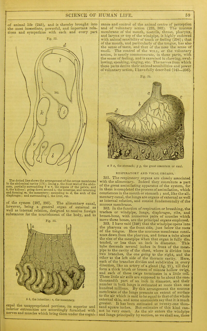 -of animal life (245), and is thereby bronght into the most immediate, powerful, and important rela- tions and sympathies with each and every part Fig. 32. The dotted line shows the arrangement of the serous membrane in the abdominal cavity (176); liningp, the front wall of the abdo- men, partially surrounding bur, the organs of the pelvis, and k, the kidney; going down around i, the intestine, and returning and forming ra, the mesentery; ascending to d, the arch of the diaphragm; and surrounding I, the liver, etc. of the system (297, 298). The alimentary canal, however, being a general organ of external as ■well as internal relation, designed to receive foreign substances for the nourishment of the body, and to Fig. 33. 6 4, the intestine; c, the mesentery. expel the unappropriated portions, its superior and inferior extremities are accordingly furnished with nerves and muscles which bring them under the cogni. 7,ance and control of the animal centre of perception and of vohmtary action (233, 302). The mucous membrane of the mouth, nostrils, throat, pharynx, and larynx or top of the windpipe, is highly endowed with animal sensibility of touch or feeling (294) ; that of the mouth, and particularly of the tongue, has also the sense of taste, and that of the nose the sense of smell. The control of the will, or the voluntary action, is nearly commensurate, in these parts, with the sense of feeling, and is exercised in chewing, swal- lowing, speaking, singing, etc. The nerves from which these parts derive their animal-sensibilities and power of voluntary action, I htive fully described (245—256). Fig. 31. a b c, the stomach; g g, the great omentum or caul. EESPIHATOHY AND VOCAL ORGANS. 351. The respiratory organs are closely associated with the alimentary. Indeed they constitute » part of the great assimilating apparatus of the system, for in them is completed the process of assimilation, which commences in the mouth or stomach ; and, like the ali- mentary canal, the lungs are organs of external as well as internal relation, and consist fundamentally of the mucous membrane. 352. In the function of respiration or breathing, the trachea or windpipe, lungs, diaphragm, ribs, and breast-bone, with numerous pairs of muscles which move these bones, are the principal organs employed. 353. I have said (340) that the windpipe opens into the pharynx on the front side, just below the roots of the tongue. Here the mucuous membrane conti- nues down from the pharynx, and forms a tube about the size of the meatpipe when that organ is fully dis. tended, or less than an inch in diameter. This tube descends several inches in front of the meat- pipe to the cavity of the chest, where it divides into two branches, the one going to the right, and the other to the left side of the thoracic cavity. Here, each of the branches divides and subdivides in every direction, like an artery of a gland (fig. 21), till they form a thick brush or l)room of minute hollow twigs, and each of these twigs terminates in a little cell. These little air cells are supposed to be about the one- thousandth part of an inch in diameter, and their number in both lungs is estimated at more than one hundred millions. By this arrangement the mucous membrane of the lungs presents an extent of surface to the air which is said to be equal to thatof the whole extei-nal skin, and some anatomists say that it is much greater. It has been estimated at twenty-one thou- sand square inches. But estimates of this kind can- not be very exact. As the air enters the windpipe and lungs principally by suction, as we shall see, these