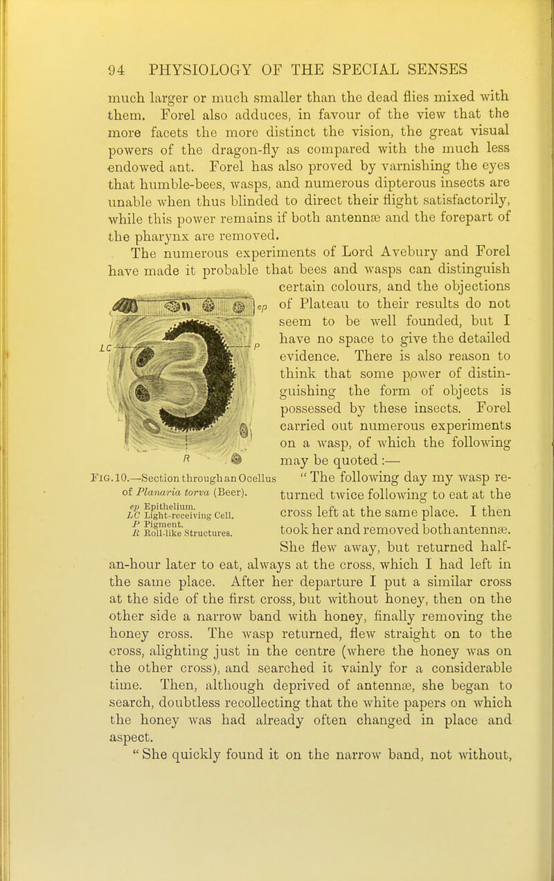 much larger or much smaller than the dead flies mixed with them. Forel also adduces, in favour of the view that the more facets the more distinct the vision, the great visual powers of the dragon-fly as compared with the much less endowed ant. Forel has also proved by varnishing the eyes that humble-bees, wasps, and numerous dipterous insects are unable when thus blinded to direct their flight satisfactorily, while this power remains if both antennae and the forepart of the pharynx are removed. The numerous experiments of Lord Avebury and Forel have made it probable that bees and Avasps can distinguish • . .K-Wi -.. certain colours, and the objections ^^^l^w ■^'Qf Plateau to their results do not , , V seem to be well founded, but I ' ■^^^^^m, ' have no space to give the detailed „ 'dBm . evidence. There is also reason to !,|* \ ^^yH^ i think that some p,ower of distin- l ' ^^^^K guishing the form of objects is ^W^^^Kr possessed by these insects. Forel /^iPfi^^ carried out numerous experiments 1^' '; on a Avasp, of Avhich the folloAving 1^ ® may be quoted:— yiG. 10.—Section through an Ocellus The foUoAving day my Avasp re- ef Planaria torva (Beer). turned tAvice following to eat at the Li^ht-^receiving Cell. cross left at the Same placc. I then R Rifiulke structures. took her and removed bothantennee. She flew aAvay, but returned half- an-hour later to eat, always at the cross, which I had left in the same place. After her departure I put a similar cross at the side of the first cross, but Avithout honey, then on the other side a narrow band with honey, finally removing the honey cross. The Avasp returned, flcAv straight on to the cross, alighting just in the centre (Avhere the honey Avas on the other cross), and searched it vainly for a considerable time. Then, although deprived of antennae, she began to search, doubtless recollecting that the Avhite papers on which the honey Avas had already often changed in place and aspect.  She quickly found it on the narrow band, not Avithout,