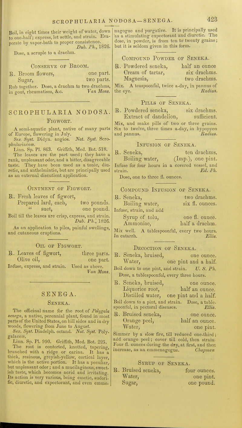 SCROPHULARIA NODOSA—SENEGA. Boil, in ciffht times their weight of water, down to oiic-half; express, let settle, and strain. Eva- porate by vapor-bath to proper eonsistcnce. ' ^ ^ Dub. Fh., mS. Dose, a scruple to a drachm. Conserve of Broom. R. Broom flowers, one part. Sugar, two parts. Rub together. Dose, a drachm to two drachms, in gout, rheumatism, «Sic. Van Mons. SCROPHULARIA NODOSA. FiGWOET. A semi-aquatic plant, native of many parts of Europe, flowering in July. Sex. Syst. Didyn. angios. Nat. Syst. Scro- phulariacecB. Linn. Sp. PI. 863. Griffith, Med. Bot. 518. The leaves are the part used; they have a rank, unpleasant odor, and a bitter, disagreeable taste. They have been used as a tonic, diu- retic, and anthelmintic, but are principally used as an e.xternal diseutient application. Ointment of Figwort. R. Fresh leaves of figwort. Prepared lard, each, two pounds.  suet, one pound. Boil till the leaves are crisp, express, and strain. Dub. Ph.:, 1826. As an application to piles, painful swellings, and cutaneous eruptions. Oil of Figwort. R. Leaves of figwort, three parts. Olive oil, one part. Infuse, express, and strain. Used as above. Van Mons. SENEGA. Seneka. The officinal name for the root of Polygala senega, a native, perennial plant, found in most parts of the United States, on hill sides and in dry woods, flowering from June to August. Sex. Syst. Diadelph. octand. Nat. Syst. Poly- galacea;. Linn. Sp. PI. 990. Griffith, Med. Bot. 225. The root is contorted, knotted, tapering, branched with a ridge or carina. It has a thick, resinous, greyish-yellow, cortical layer, which is the active portion. It has a peculiar,- but unpleasant odor; and a mucilaginous, sweet- ish taste, which becomes acrid and irritating. Its action is very various, being emetic, sudori- fic, diuretic, and expectorant, and even emme- nagogue and purgative. It is principally used as a stimulating expectorant and diuretic. The dose, in powder, is from ten to twenty grains; but it is seldom given in this form. Compound Powder of Seneka. R. Powdered seneka, half an ounce Cream of tartar, six drachms. Magnesia, two drachms. Mix. A teaspoonful, twice a-day, in pannus of the eye. Radius, Pills of Seneka. R. Powdered seneka, six drachms. Extract of dandelion, sufficient. Mix, and make pills of two or three grains. Six to twelve, three times a-day, in hypoi)yon and pannus. Radius. Infusion of Seneka. R. Seneka, ten drachms. Boiling water, (Imp.), one pint. Infuse for four hours in a covered vessel, and strain. Ed. Ph. Dose, one to three fl. ounces. Compound Infusion of Seneka. R. Seneka, two drachms. Boiling water, six fl. ounces. Infuse, strain, and add Syrup of tolu, one fl. ounce. Ammoniac, half a drachm. Mix well. A tablespoonful, every two hours. In catarrh, Ellis. Decoction of Seneka. R. Seneka, bruised, one ounce. Water, one pint and a half. Boil down to one pint, and strain. U. S. Ph. Dose, a tablespoonful, every three hours. R. Seneka, bruised, one ounce. Liquorice root, half an ounce. Distilled water, one pint and a half. Boil dovm to a pint, and strain. Dose, a table- spoonful, in pectoral diseases. Ellis. R. Bruised seneka, one ounce. Orange peel, half an ounce. Water, one pint. Simmer by a slow fire, till reduced one-third; add orange peel; cover till cold, then strain. Four fl. ounces during the day, at first, and then increase, as an emmenagogue. Chapman Syrup of Seneka. R. Bruised seneka, four ounces. Water, one pint. Sugar, one pound.