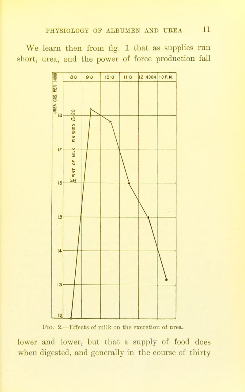 We learn then from fig. 1 that as suppHes run short, urea, and the power of force production fall Fig. 2.—Efiects of milk on the excretion of urea. lower and lower, but that a supply of food does when digested, and generally in the course of thirty