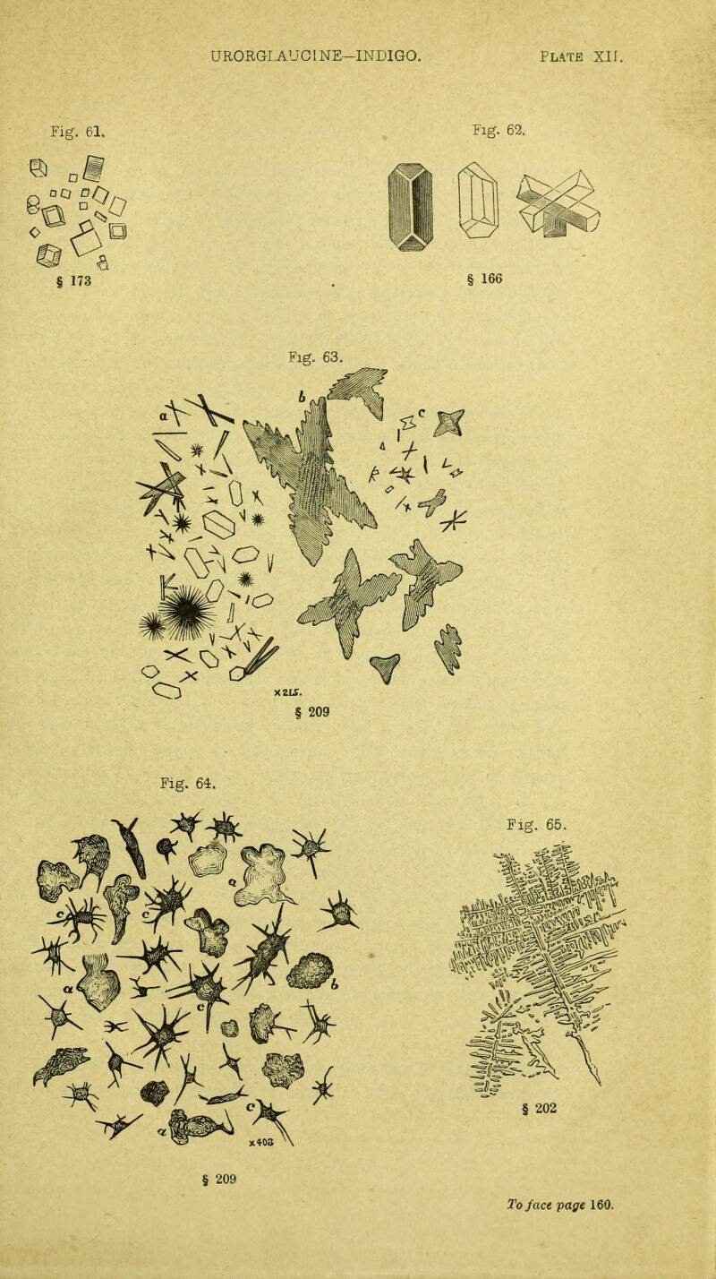 URORGLAUGINE—INDIGO. Plate XII. To fact page 160.