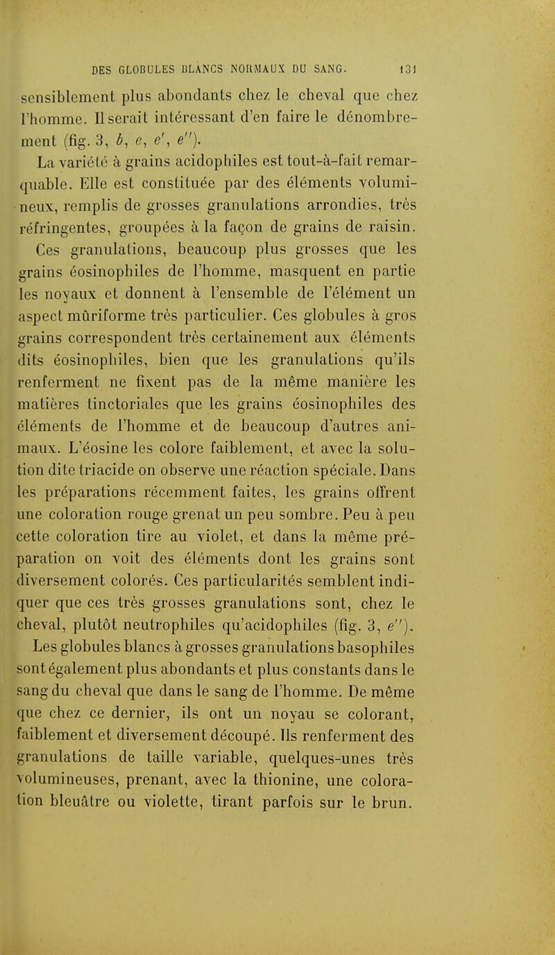 sensiblement plus abondants chez le cheval que chez l'homme. Userait intéressant d'en faire le dénombre- ment (fig. 3, b, e, e\ e). La variété à grains acidopliiles est tout-à-fait remar- ijuable. Elle est constituée par des éléments volumi- neux, remplis de grosses granulations arrondies, très réfringentes, groupées à la façon de grains de raisin. Ces granulations, beaucoup plus grosses que les grains éosinophiles de l'homme, masquent en partie les noyaux et donnent à l'ensemble de l'élément un aspect mûriforme très particulier. Ces globules à gros grains correspondent très certainement aux éléments (lits éosinophiles, bien que les granulations qu'ils renferment ne fixent pas de la même manière les matières tinctoriales que les grains éosinophiles des éléments de l'homme et de beaucoup d'autres ani- maux. L'éosine les colore faiblement, et avec la solu- tion dite triacide on observe une réaction spéciale. Dans les préparations récemment faites, les grains offrent une coloration rouge grenat un peu sombre. Peu à peu cette coloration tire au violet, et dans la même pré- paration on voit des éléments dont les grains sont diversement colorés. Ces particularités semblent indi- quer que ces très grosses granulations sont, chez le cheval, plutôt neutrophiles qu'acidophiles (fig. 3, e). Les globules blancs à grosses granulations basophiles sont également plus abondants et plus constants dans le sang du cheval que dans le sang de l'homme. De même que chez ce dernier, ils ont un noyau se colorant, faiblement et diversement découpé. Us renferment des granulations de taille variable, quelques-unes très volumineuses, prenant, avec la thionine, une colora- tion bleuâtre ou violette, tirant parfois sur le brun.