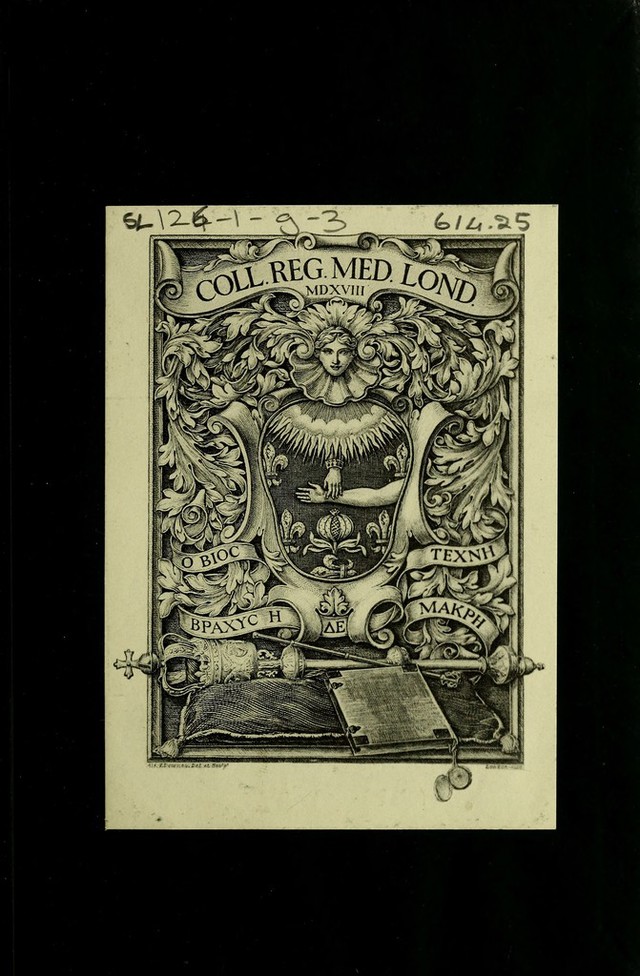 digitised image 3