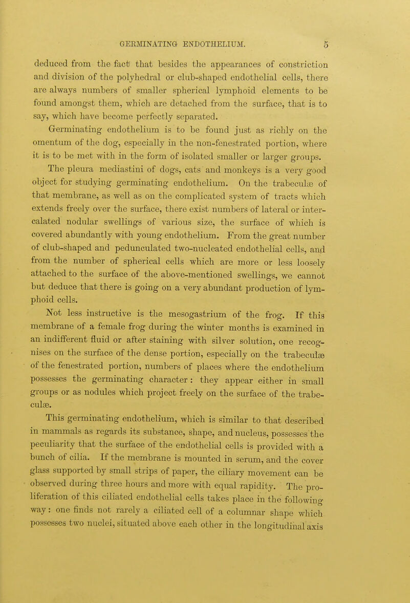 deduced from the facfJ that besides the appearances of constriction and division of the polyhedral or club-shaped endothelial cells, there are always numbers of smaller spherical lymphoid elements to be foimd amongst them, which are detached from the surface, that is to say, which have become perfectly separated. Grerminating endothelium is to be found just as richly on the omentiun of the dog, especially in the non-fenestrated portion, where it is to be met with in the form of isolated smaller or larger groups. The pleura mediastini of dogs, cats and monkeys is a very good object for studying germinating endothelium. On the trabeculas of that membrane, as well as on the complicated system of tracts which extends freely over the surface, there exist numbers of lateral or inter- calated nodular swellings of various size, the surface of which is covered abundantly with young endothelium. From the great number of club-shaped and pedunculated two-nucleated endothelial cells, and from the number of spherical cells which are more or less loosely attached to the surface of the above-mentioned swellings, we cannot but deduce that there is going on a very abundant production of lym- phoid cells. Not less instructive is the mesogastrium of the frog. If this membrane of a female frog during the winter months is examined in an indifferent fluid or after staining with silver solution, one recog- nises on the surface of the dense portion, especially on the trabeculse of the fenestrated portion, mmibers of places where the endothelium possesses the germinating character: they appear either in small groups or as nodules which project freely on the surface of the trabe- culse. This germinating endothelium, which is similar to that described in mammals as regards its substance, shape, and nucleus, possesses the peculiarity that the surface of the endothelial cells is provided with a bunch of cilia. If the membrane is mounted in seriun, and the cover glass supported by small strips of paper, the ciliary movement can be observed during three hom-s and more with equal rapidity. The pro- liferation of this ciliated endothelial cells takes place m the following way: one finds not rarely a ciliated cell of a columnar shape which possesses two nuclei, situated above each other in the longitudinal axis