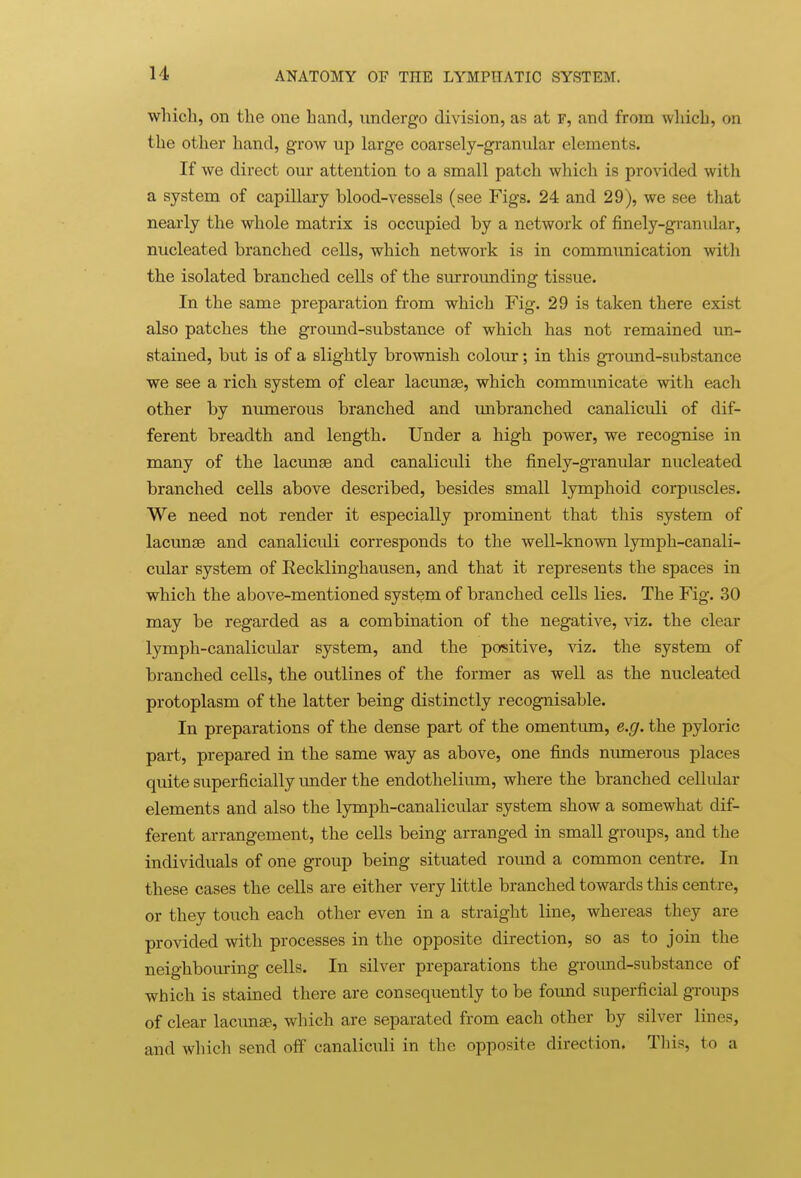 whicli, on the one band, undergo division, as at f, and from wliicb, on the other hand, grow up large coarsely-granular elements. If we direct our attention to a small patch which is provided witli a system of capillary blood-vessels (see Figs. 24 and 29), we see that nearly the whole matrix is occupied by a network of finely-granular, nucleated branched cells, which network is in communication with the isolated branched cells of the surrounding tissue. In the same preparation from which Fig. 29 is taken there exist also patches the ground-substance of which has not remained un- stained, but is of a slightly brownish colour; in this ground-substance we see a rich system of clear lacunae, which communicate with eacli other by numerous branched and unbranched canaliculi of dif- ferent breadth and length. Under a high power, we recognise in many of the lacimse and canaliculi the finely-granular nucleated branched cells above described, besides small lymphoid corpuscles. We need not render it especially prominent that this system of lacunae and canaliculi corresponds to the well-known lymph-canali- cular system of Eecklinghausen, and that it represents the spaces in which the above-mentioned system of branched cells lies. The Fig. 30 may be regarded as a combination of the negative, viz. the clear lymph-canalicular system, and the positive, viz. the system of branched cells, the outlines of the former as well as the nucleated protoplasm of the latter being distinctly recognisable. In preparations of the dense part of the omentum, e.g. the pyloric part, prepared in the same way as above, one finds niunerous places quite superficially under the endothelium, where the branched cellular elements and also the lymph-canalicular system show a somewhat dif- ferent arrangement, the cells being arranged in small groups, and the individuals of one group being situated round a common centre. In these cases the cells are either very little branched towards this centre, or they touch each other even in a straight line, whereas they are provided with processes in the opposite direction, so as to join the neighbouring cells. In silver preparations the ground-substance of which is stained there are consequently to be found superficial groups of clear lacunae, which are separated from each other by silver lines, and which send off canaliculi in the opposite direction. This, to a