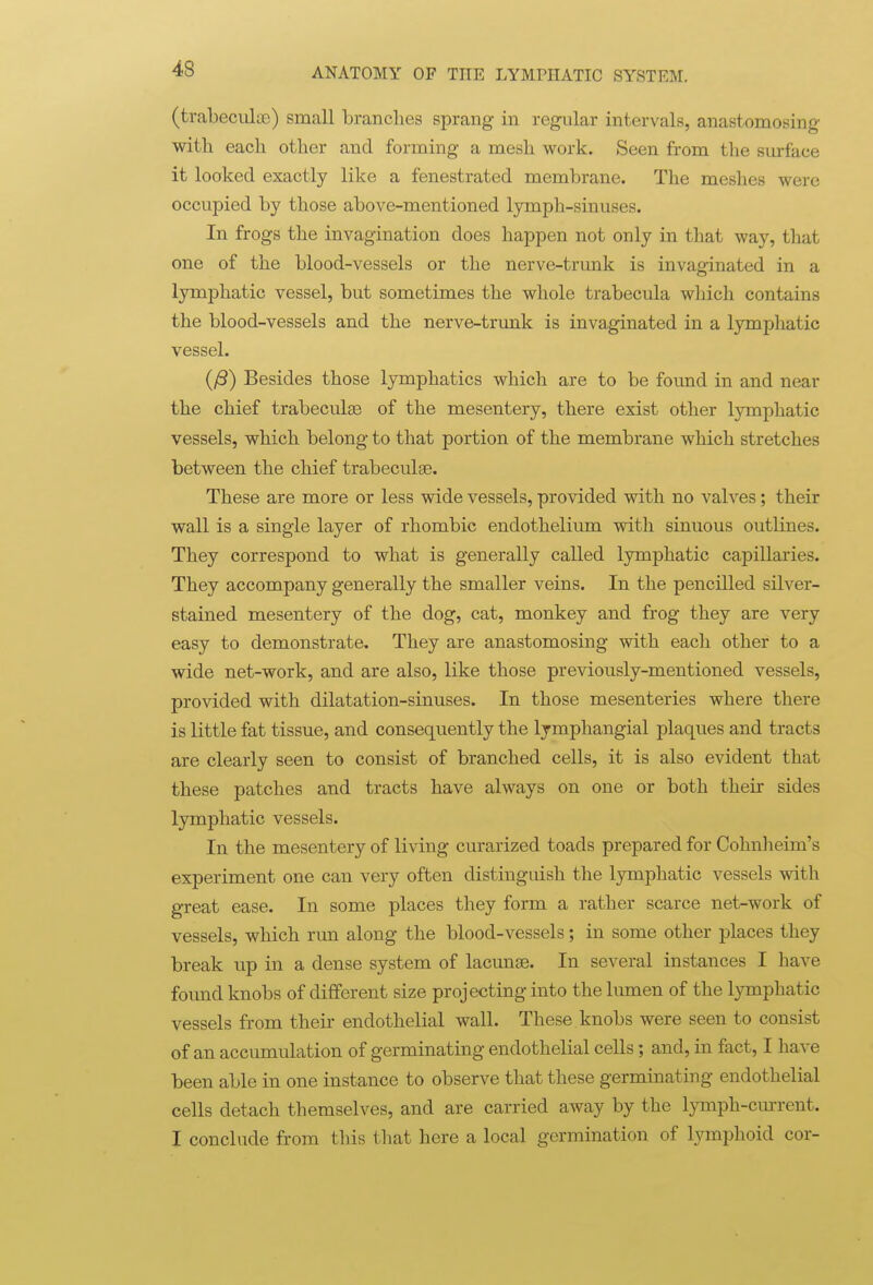 (trabeculoo) small branclies sprang in regular intervals, anastomosing with each other and forming a mesh work. Seen from the surface it looked exactly like a fenestrated membrane. The meshes were occupied by those above-mentioned lymph-sinuses. In frogs the invagination does happen not only in that way, that one of the blood-vessels or the nerve-trunk is invaginated in a lymphatic vessel, but sometimes the whole trabecula which contains the blood-vessels and the nerve-trimk is invaginated in a lymphatic vessel. {^) Besides those lymphatics which are to be found in and near the chief trabeculge of the mesentery, there exist other lymphatic vessels, which belong to that portion of the membrane which stretches between the chief trabeculse. These are more or less wide vessels, provided with no valves; their wall is a single layer of rhombic endothelium with sinuous outlines. They correspond to what is generally called lymphatic capillaries. They accompany generally the smaller veins. In the pencilled silver- stained mesentery of the dog, cat, monkey and frog they are very easy to demonstrate. They are anastomosing with each other to a wide net-work, and are also, like those previously-mentioned vessels, provided with dilatation-sinuses. In those mesenteries where there is little fat tissue, and consequently the lymphangial plaques and tracts are clearly seen to consist of branched cells, it is also evident that these patches and tracts have always on one or both their sides lymphatic vessels. In the mesentery of living curarized toads prepared for Cohnlieim's experiment one can very often distinguish the Ijnnphatic vessels with great ease. In some places they form a rather scarce net-work of vessels, which run along the blood-vessels; in some other places they break up in a dense system of lacunae. In several instances I have found knobs of different size projecting into the lumen of the lymphatic vessels from their endothelial wall. These knobs were seen to consist of an accumulation of germinating endothelial cells; and, in fact, I have been able in one instance to observe that these germinating endothelial cells detach themselves, and are carried away by the lymph-cm-rent. I conclude from this that here a local germination of lymphoid cor-