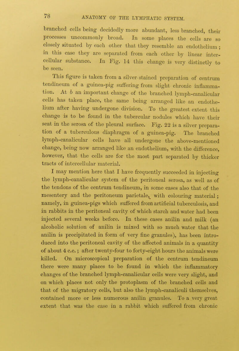 branched cells being decidedly more abundant, less branched, their processes uncommonly broad. In some places the cells are so closely situated by each other that they resemble an endothelium ; in this case they are separated from each other by linear mter- cellular substance. In Fig. 14 this change is very distinctly to be seen. This figure is taken from a silver-stained preparation of centrum tendineum of a guinea-pig suffering from slight chronic inflamma- tion. At 6 an important change of the branched lymph-canalicular cells has taken place, the same being arranged like an endothe- liiun after having vmdergone division. To the greatest extent this change is to be foimd in the tubercular nodules which have their seat in the serosa of the pleural surface. Fig. 22 is a silver prepara- tion of a tuberculous diaphragm of a guinea-pig. The branched lymph-canalicular cells have all undergone the above-mentioned change, being now arranged like an endothelium, with the difference, however, that the ceUs are for the most part separated by thicker tracts of intercellular material. I may mention here that I have frequently succeeded in injecting the lymph-canalicular system of the peritoneal serosa, as well as of the tendons of the centrum tendineum, in some cases also that of the mesentery and the peritoneiun parietale,^ with colouring material; namely, in guinea-pigs which suffered from artificial tuberculosis, and in rabbits in the peritoneal cavity of which starch and water had been injected several weeks before. In these cases anilin and milk (an alcoholic solution of anilin is mixed with so much water that the anilin is precipitated in form of very fine granules), has been intro- duced into the peritoneal cavity of the affected animals in a quantity of about 4 c.c.; after twenty-four to forty-eight hours the animals were killed. On microscopical preparation of the centrum tendineum there were many places to be found in which the inflammatory changes of the branched lymph-canalicular cells were very slight, and on which places not only the protoplasm of the branched cells and that of the migratory cells, but also the lymph-canaliculi themselves, contained more or less numerous anilin granules. To a very great extent that was the case in a rabbit which suffered from chronic