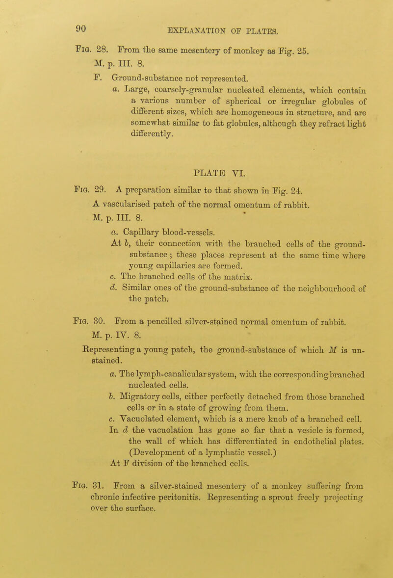 FiQ. 28. rrom tlie same mesentery of monkey as Fig. 25. M. p. III. 8. F, Ground-substance not represented. a. Large, coarsely-granular nucleated elements, -wbicli contain a various number of spherical or irregular globules of different sizes, which are homogeneous in structure, and are somewhat similar to fat globules, although they refract light differently. PLATE VI. Fig. 29. A preparation similar to that shown in Fig. 24. A vascularised patch of the normal omentum of rabbit. M. p. III. 8. a. Capillary blood-vessels. At b, their connection with the branched cells of the ground- substance ; these places represent at the same time where young capillaries are formed. c. The branched cells of the matrix. d. Similar ones of the ground-substance of the neighbourhood of the patch. Fig. 30. From a pencilled silver-stained normal omentum of rabbit. M. p. IV. 8. Representing a young patch, the ground-substance of which M is un- stained. a. The lymph-canalicular system, with the corresponding branched nucleated cells. b. Migratory cells, either perfectly detached from those branched cells or in a state of growing from them. c. Vacuolated element, which is a mere knob of a branched cell. In d the vacuolation has gone so far that a vesicle is formed, the wall of which has differentiated in endothelial plates. (Development of a lymphatic vessel.) At F division of the branched cells. FiQ. 31. From a silver-stained mesentery of a monkey suffering from chronic infective peritonitis. Representing a sprout fi'eely projecting over the surface.