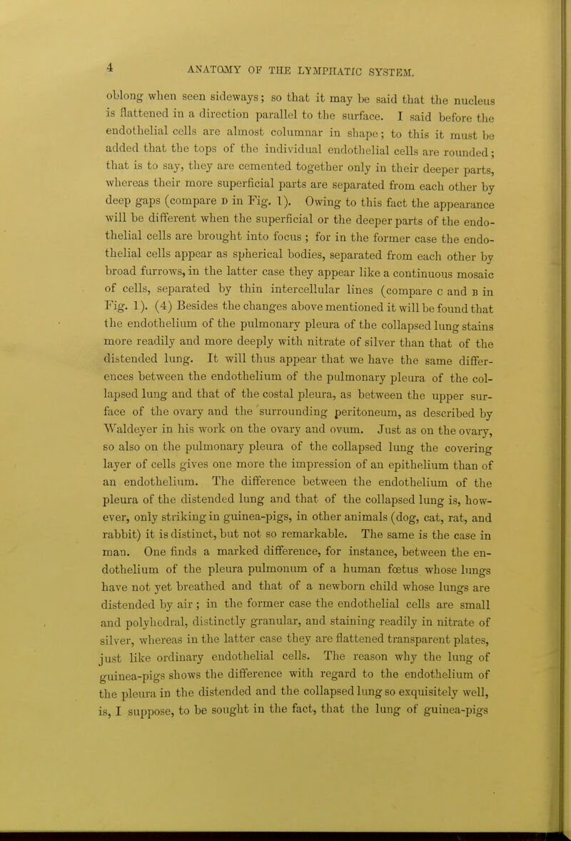oblong when seen sideways; so that it may be said that the nucleus is flattened in a direction parallel to the surface. I said before the endothelial cells are almost columnar in shape; to this it must be added that the tops of the individual endotlielial cells are rounded; that is to say, they are cemented together only in their deeper parts, whereas their more superficial parts are separated from each other by deep gaps (compare d in Fig. 1). Owing to this fact the appearance will be different when the superficial or the deeper parts of the endo- thelial cells are brought into focus ; for in the former case the endo- thelial cells appear as spherical bodies, separated from each other by broad furrows, in the latter case they appear like a continuous mosaic of cells, separated by thin intercellular lines (compare c and B in Fig. 1). (4) Besides the changes above mentioned it will be found that the endothelium of the pulmonary pleura of the collapsed lung stains more readily and more deeply with nitrate of silver than that of the distended lung. It will thus appear that we have the same differ- ences between the endothelium of the pulmonary pleura of the col- lapsed lung and that of the costal pleura, as between the upper sur- face of the ovary and the surrounding peritoneum, as described by Waldeyer in his work on the ovary and ovum. Just as on the ovary, so also on the pulmonary pleura of the collapsed lung the covering layer of cells gives one more the impression of an epithelium than of an endothelium. The difference between the endothelium of the pleura of the distended lung and that of the collapsed lung is, how- ever, only striking in guinea-pigs, in other animals (dog, cat, rat, and rabbit) it is distinct, but not so remarkable. The same is the case in man. One finds a marked difference, for instance, between the en- dothelium of the pleura pulmonum of a human foetus whose lungs have not yet breathed and that of a newborn child whose lungs are distended by air ; in the former case the endothelial cells are small and polyhedral, distinctly granular, and staining readily in nitrate of silver, whereas in the latter case they are flattened transparent plates, just like ordinary endothelial cells. The reason why the lung of guinea-pigs shows the difference with regard to the endothelium of the pleura in the distended and the collapsed lung so exquisitely well, is, I suppose, to be sought in the fact, that the lung of guinea-pigs