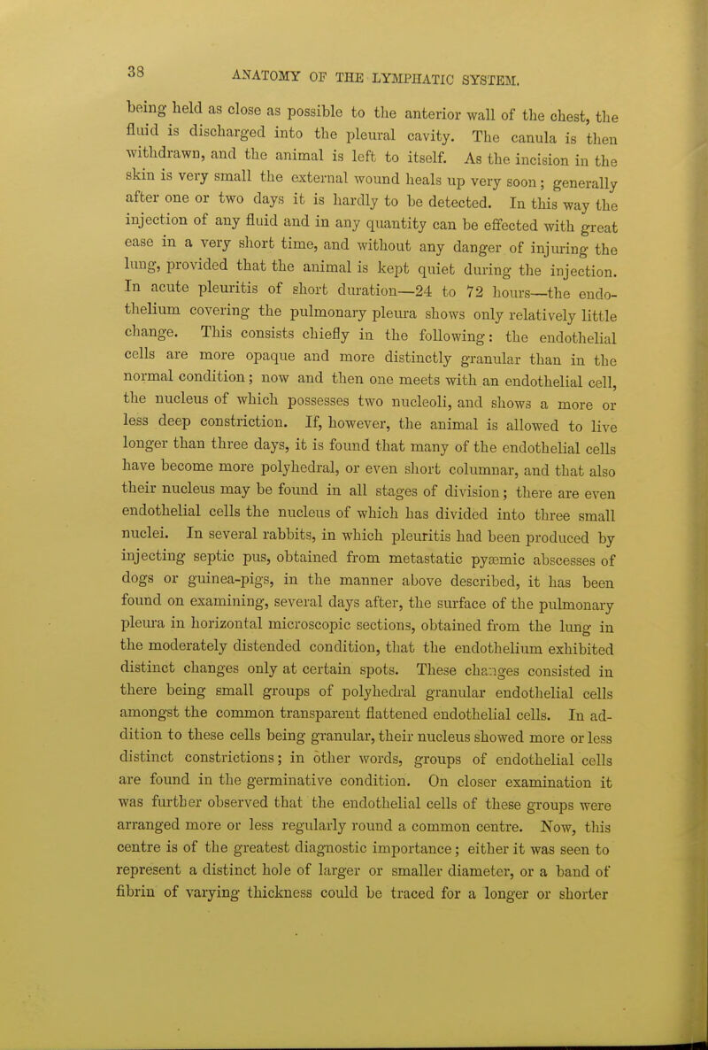 being held as close as possible to the anterior wall of the chest, the fliud is discharged into the pleural cavity. The canula is then withdrawn, and the animal is left to itself. As the incision in the skin is very small the external wound heals up very soon; generally after one or two days it is hardly to be detected. In this way the injection of any fluid and in any quantity can be effected with great ease in a very short time, and without any danger of injuring the lung, provided that the animal is kepi quiet during the injection. In acute pleuritis of short duration—24 to 72 hours—the endo- thelium covering the pulmonary pleura shows only relatively little change. This consists chiefly in the following: the endothelial cells are more opaque and more distinctly granular than in the normal condition; now and then one meets with an endothelial cell, the nucleus of which possesses two nucleoli, and shows a more or less deep constriction. If, however, the animal is allowed to live longer than three days, it is found that many of the endothelial cells have become more polyhedral, or even short columnar, and that also their nucleus may be found in all stages of division; there are even endothelial cells the nucleus of which has divided into three small nuclei. In several rabbits, in which pleuritis had been produced by injecting septic pus, obtained from metastatic pygemic abscesses of dogs or guinea-pigs, in the manner above described, it has been found on examining, several days after, the surface of the pulmonary plem-a in horizontal microscopic sections, obtained from the lung in the moderately distended condition, that the endothelium exhibited distinct changes only at certain spots. These changes consisted in there being small groups of polyhedral granular endothelial cells amongst the common transparent flattened endothelial cells. In ad- dition to these cells being granular, their nucleus showed more or less distinct constrictions; in other words, groups of endothelial cells are found in the germinative condition. On closer examination it was further observed that the endothelial cells of these groups were arranged more or less regularly round a common centre. Now, this centre is of the greatest diagnostic importance; either it was seen to represent a distinct hole of larger or smaller diameter, or a band of fibrin of varying thickness could be traced for a longer or shorter
