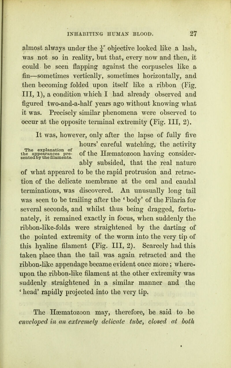 almost always under the J objective looked like a lash, was not so in reality, but that, every now and then, it could be seen flapping against the corpuscles like a fin—sometimes vertically, sometimes horizontally, and then becoming folded upon itself like a ribbon (Fig. Ill, 1), a condition which I had already observed and figured two-and-a-half years ago without knowing what it was. Precisely similar phenomena were observed to occur at the opposite terminal extremity (Fig. Ill, 2). It was, however, only after the lapse of fully five hours' careful watching, the activity The explanation of „ ,, -^-p , . . , the appearances pre- 01 the lisematozoon havm^^ cousidcr- sented by the filaments. ^ ably subsided, that the real nature of what appeared to be the rapid protrusion and retrac- tion of the delicate membrane at the oral and caudal terminations, was discovered. An unusually long tail was seen to be trailing after the * body' of the Eilaria for several seconds, and whilst thus being dragged, fortu- nately, it remained exactly in focus, when suddenly the ribbon-like-folds were straightened by the darting of the pointed extremity of the worm into the very tip of this hyaline filament (Fig. Ill, 2). Scarcely had this taken place than the tail was again retracted and the ribbon-like appendage became evident once more; where- upon the ribbon-like filament at the other extremity was suddenly straightened in a similar manner and the ' head' rapidly projected into the very tip. The Hsematozoon may, therefore, be said to be enveloped in an extremely delicate tube, closed at both