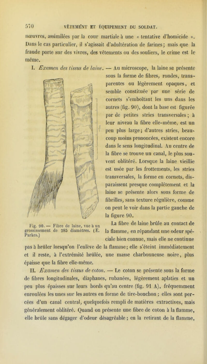 iiœuvres, assimilées par la cour martiale à une « lentalive d'homicide ». Dans le cas particulier, il s'agissait d'adultération de farines; mais que la fraude porte sur des vivres, des vêtements ou des souliers, le crime est le même. I. Examen des tissus de laine. — Au microscope, la laine se présente pas à brider lorsqu'on l'enlève de la flamme; elle s'éteint immédiatement et il reste, à l'extrémité brûlée, une masse charbonneuse noire, plus épaisse que la fibre elle-même. II. Examen des tissus de coton. — Le coton se présente sous la forme de fibres longitudinales, diaphanes, rubanées, légèrement aplaties et un peu plus épaisses sur leurs bords qu'au centre (fig. 91 A), fréquemment enroulées les unes sur les autres en forme de tire-bouchon ; elles sont per- cées d'un canal central;, quelquefois rempli de matières extractives, mais généralement oblitéré. Quand on présente une fibre de coton à la flamme, elle brûle sans dégager d'odeur désagréable ; en la retirant de la flamme. sous la forme de fibres, rondes, trans- parentes ou légèrement opaques, et semble constituée par une série de cornets s'emboîtant les uns dans les autres (fig. 90), dont la base est figurée par de petites stries transversales ; à leur niveau la fibre elle-même, est un peu plus large; d'autres stries, beau- coup moins prononcées, existent encore dans le sens longitudinal. Au centre de la fibre se trouve un canal, le plus sou- vent oblitéré. Lorsque la laine vieillie est usée par les frottements, les stries transversales, la forme en cornets, dis- paraissent presque complètement et la laine se présente alors sous forme de fibrilles, sans texture régulière, comme on peut le voir dans la partie gauche de la figure 90. Fig. 90. — Fibre de laine, vue à un grossissement de 285 diamètres. (E. Parkes.) La fibre de laine brûle au contact de la flamme, en répandant une odeur spé- ciale bien connue, mais elle ne continue