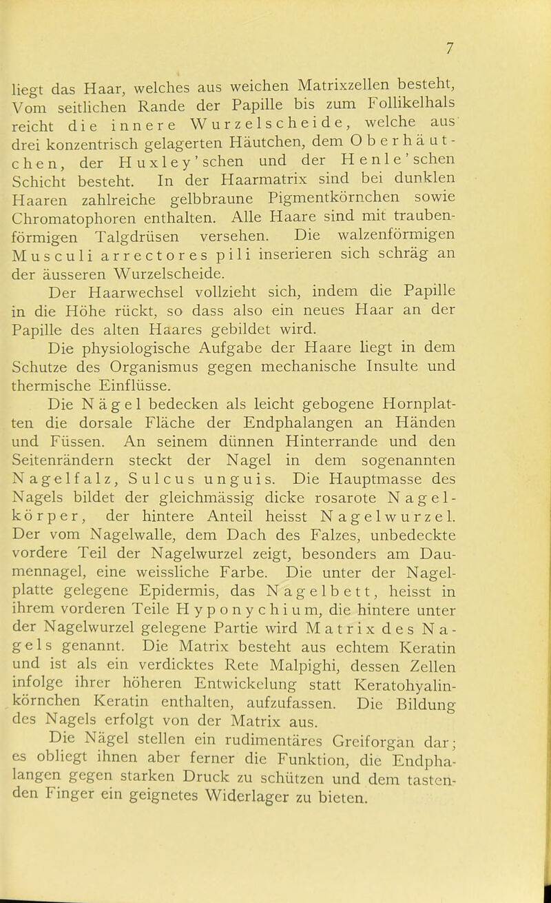 liegt das Haar, welches aus weichen Matrixzellen besteht, Vom seitUchen Rande der Papille bis zum Follikelhals reicht die innere Wurzelscheide, welche aus' drei konzentrisch gelagerten Häutchen, dem O b e r h ä u t - c h e n, der H u x 1 e y ' sehen und der H e n 1 e ' sehen Schicht besteht. In der Haarmatrix sind bei dunklen Haaren zahlreiche gelbbraune Pigmentkörnchen sowie Chromatophoren enthalten. Alle Haare sind mit trauben- förmigen Talgdrüsen versehen. Die walzenförmigen Musculi arrectores pili inserieren sich schräg an der äusseren Wurzelscheide. Der Haarwechsel vollzieht sich, indem die Papille in die Höhe rückt, so dass also ein neues Haar an der Papille des alten Haares gebildet wird. Die physiologische Aufgabe der Haare liegt in dem Schutze des Organismus gegen mechanische Insulte und thermische Einflüsse. Die Nägel bedecken als leicht gebogene Hornplat- ten die dorsale Fläche der Endphalangen an Händen und Füssen. An seinem dünnen Hinterrande und den Seitenrändern steckt der Nagel in dem sogenannten Nagelfalz, Sulcus unguis. Die Hauptmasse des Nagels bildet der gleichmässig dicke rosarote Nagel- körper, der hintere Anteil heisst Nagelwurzel. Der vom Nagelwalle, dem Dach des Falzes, unbedeckte vordere Teil der Nagelwurzel zeigt, besonders am Dau- mennagel, eine weissliche Farbe. Die unter der Nagel- platte gelegene Epidermis, das Nagelbett, heisst in ihrem vorderen Teile H y p o n y c h i u m, die hintere unter der Nagelwurzel gelegene Partie wird Matrix des Na- gels genannt. Die Matrix besteht aus echtem Keratin und ist als ein verdicktes Rete Malpighi, dessen Zellen infolge ihrer höheren Entwickclung statt Keratohyalin- körnchen Keratin enthalten, aufzufassen. Die Bildung des Nagels erfolgt von der Matrix aus. Die Nägel stellen ein rudimentäres Greiforgan dar; es obliegt ihnen aber ferner die Funktion, die Endpha- langen gegen starken Druck zu schützen und dem tasten- den Finger ein geignetes Widerlager zu bieten.