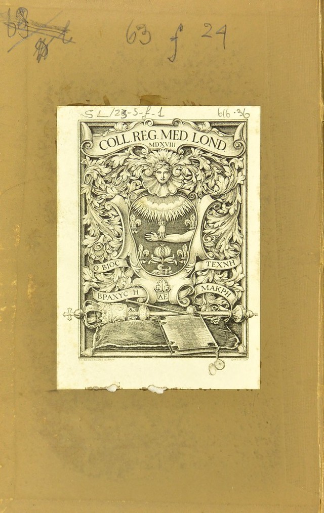 digitised image 2