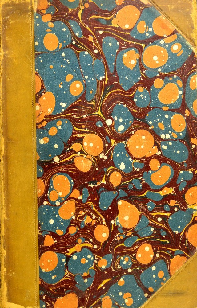 No text description is available for this image