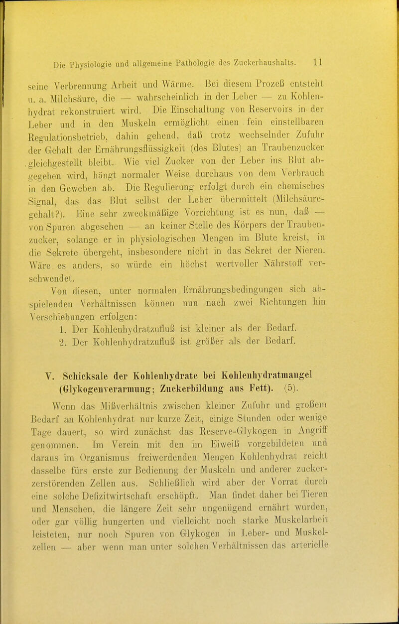 seine Verbrennung Arbeit und Wanne. Bei diesem Prozeß entsteht u. a. Milchsäure, die — wahrscheinlich in der Leber zu Kohlen- hydrat rekonstruiert wird. Die Einschaltung von Reservoirs in der Leber und in den Muskeln ermöglicht einen fein einstellbaren Regulationsbetrieb, dahin gehend, daß trotz wechselnder Zufuhr der Gehalt der Lrnährungsflüssigkeit (des Blutes) an Traubenzucker gleichgestellt bleibt. Wie viel Zucker von der Leber ins Blut ab- gegeben wird, hängt normaler Weise durchaus von dem Verbrauch in den Geweben ab. Die Regulierung erfolgt durch ein chemisches Simal, das das Blut selbst der Leber übermittelt (Milchsäure- gehalt?). Eine sehr zweckmäßige Vorrichtung ist es nun, daß — von Spuren abgesehen - - an keiner Stelle des Körpers der Trauben- zucker, solange er in physiologischen Mengen im Blute kreist, in die Sekrete übergeht, insbesondere nicht in das Sekret der Nieren. Wäre, es anders, so würde ein höchst wertvoller Nährstoff ver- schwendet. Von diesen, unter normalen Ernährungsbedingungen sich ab- spielenden Verhältnissen können nun nach zwei Richtungen hin Aufschiebungen erfolgen: 1. Der Kohlenhydratzufluß ist kleiner als der Bedarf. 2. Der Kohlenhydratzufluß ist größer als der Bedarf. V. Schicksale der Kohlenhydrate hei Kohlenliydratmangel (Crlykogeiiverarimmg; Zuckerbildnng ans Fett). (5). Wenn das Mißverhältnis zwischen kleiner Zufuhr und großem Bedarf an Kohlenhydrat nur kurze Zeit, einige Stunden oder wenige Tage dauert, so wird zunächst das Reserve-Glykogen in Angnll genommen. Im Verein mit den im Eiweiß vorgebildeten und daraus im Organismus freiwerdenden Mengen Kohlenhydrat reicht dasselbe fürs erste zur Bedienung der Muskeln und anderer zucker- zerstörenden Zellen aus. Schließlich wird aber der Vorrat durch eine solche Defizitwirtschafi erschöpft. .Man ßndet daher bei Tieren und Menschen, die längere Zeit sehr ungenügend ernährt wurden, oder gar völlig hungerten und vielleicht noch starke Muskelarbeit Leisteten, nur noch Spuren von Glykogen in Leber- und Muskel- zellen — aber wenn man unier soleben Verhältnissen das arterielle