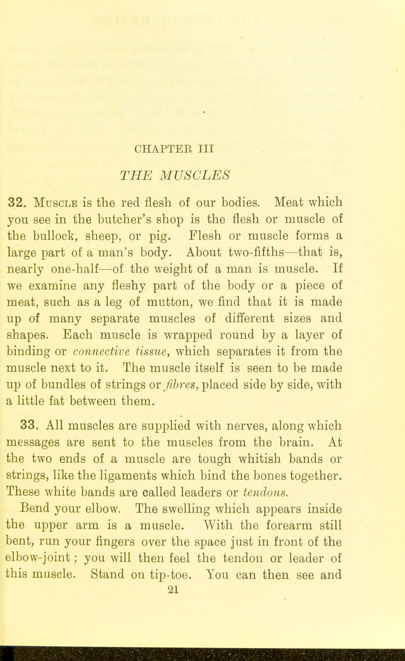 CHAPTER III THE MUSCLES 32, Muscle is the red flesh of our bodies. Meat which you see in the butcher's shop is the flesh or muscle of the bullock, sheep, or pig. Flesh or muscle forms a large part of a man's body. About two-fifths—that is, nearly one-half—of the weight of a man is muscle. If we examine any fleshy part of the body or a piece of meat, such as a leg of mutton, we find that it is made up of many separate muscles of different sizes and shapes. Each muscle is wrapped round by a layer of binding or connective tissue, which separates it from the muscle next to it. The muscle itself is seen to be made up of bundles of strings or fibres,'pla.ced side by side, with a little fat between them. 33. All muscles are supplied with nerves, along which messages are sent to the muscles from the brain. At the two ends of a muscle are tough whitish bands or strings, like the ligaments which bind the bones together. These white bands are called leaders or tendons. Bend your elbow. The swelling which appears inside the upper arm is a muscle. With the forearm still bent, run your fingers over the space just in front of the elbow-joint; you will then feel the tendon or leader of this muscle. Stand on tip-toe. You can then see and