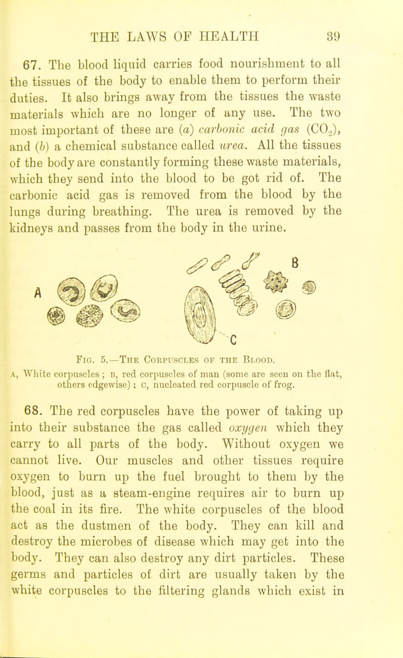 67. The blood liquid carries food nourishment to all the tissues of the body to enable them to perform their duties. It also brings away from the tissues the waste materials which are no longer of any use. The two most imjDortant of these are (a) carbonic acid gas (CO.,), and (h) a chemical substance called urea. All the tissues of the body are constantly forming these waste materials, which they send into the blood to be got rid of. The carbonic acid gas is removed from the blood by the lungs during breathing. The urea is removed by the kidneys and passes from the body in the urine. Fig. 5.—The Corpuscles of the Blood. A, Wliite corpuscles ; B, red corpuscles of man (some are seen on the flat, others edgewise); c, nucleated red corpuscle of frog. 68. The red corpuscles have the power of taking up into their substance the gas called oxygen which they carry to all parts of the body. Without oxygen we cannot live. Our muscles and other tissues require oxygen to burn up the fuel brought to them by the blood, just as a steam-engine requires air to burn up the coal in its fire. The white corpuscles of the blood act as the dustmen of the body. They can kill and destroy the microbes of disease which may get into the body. They can also destroy any dirt particles. These germs and particles of dirt are usually taken by the white corpuscles to the filtering glands which exist in