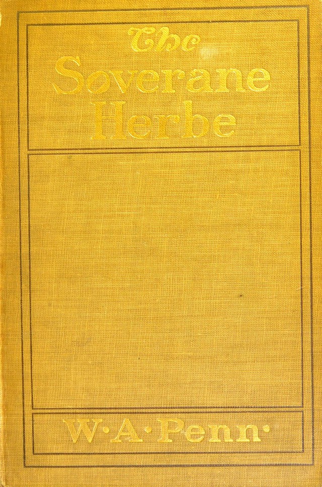 No text description is available for this image