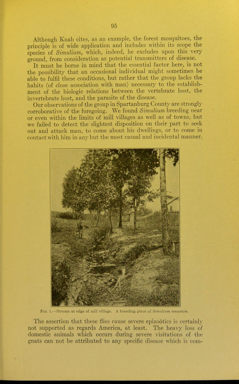 Although Knab cites, as an example, the forest mosquitoes, the principle is of wide application and includes within its scope the species of Simnlium, which, indeed, he excludes upon this very ground, from consideration as potential transmitters of disease. It must be borne in mind that the essential factor here, is not the possibility that an occasional individual might sometimes be able to fulfil these conditions, but rather that the group lacks the habits (of close association with man) necessary to the establish- ment of the biologic relations between the vertebrate host, the invertebrate host, and the parasite of the disease. Our observations of the group in Spartanburg County are strongly corroborative of the foregoing. We found Simulium breeding near or even within the Hmits of mill villages as well as of towns, but we failed to detect the slightest disposition on their part to seek out and attack man, to come about his dwellings, or to come in contact with him in any but the most casual and incidental manner. Fig. ].—Stream at edge of mill villat;u. A Ijici 'liut; jjlai c ul ■•^uinannn nnuslum. The assertion that these flies cause severe epizootics is certainly not supported as regards America, at least. The heavy loss of domestic animals which occurs during severe visitations of the gnats can not be attributed to any specific disease which is com-