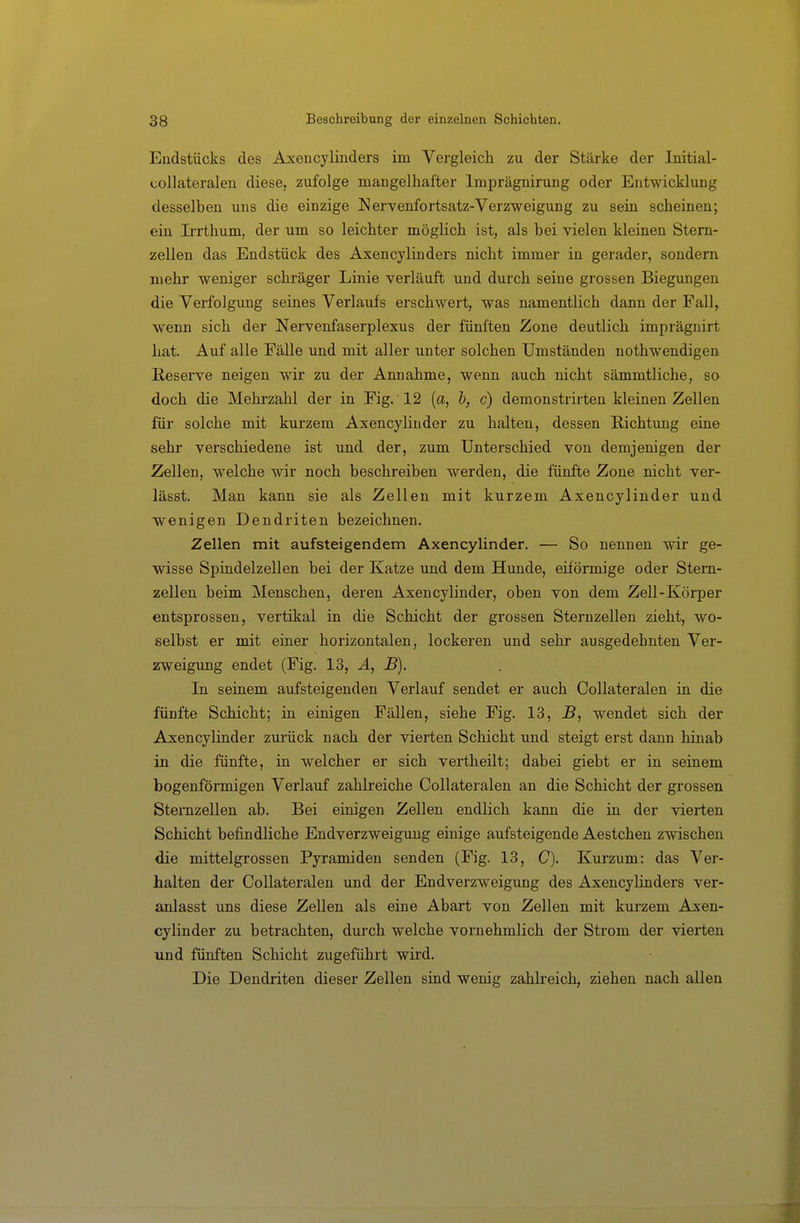 Endstücks des Axencylinders im Vergleich zu der Stärke der Initial- coUateralen diese, zufolge mangelhafter Imprägnirung oder Entwicklung desselben uns die einzige Nervenfortsatz-Verzweigung zu sein scheinen; ein Irrthum, der um so leichter möglich ist, als bei vielen kleinen Stern- zellen das Endstück des Axencylinders nicht immer in gerader, sondern Diehr weniger schräger Linie verläuft und durch seine grossen Biegungen die Verfolgung seines Verlaufs erschwert, was namentlich dann der Fall, wenn sich der Nervenfaserplexus der fünften Zone deutlich imprägnirt hat. Auf alle Fälle und mit aller unter solchen Umständen nothwendigen Reserve neigen wir zu der Annahme, wenn auch nicht sämmtliche, so doch die Mehrzahl der in Fig. 12 (a, b, c) demonstrirten kleinen Zellen für solche mit kurzem Axencyliuder zu halten, dessen Richtung eine sehr verschiedene ist und der, zum Unterschied von demjenigen der Zellen, welche wir noch beschreiben werden, die fünfte Zone nicht ver- läset. Man kann sie als Zellen mit kurzem Axencylinder und wenigen Dendriten bezeichnen. Zellen mit aufsteigendem Axencylinder. — So nennen wir ge- wisse Spindelzellen bei der Katze und dem Hunde, eiförmige oder Stem- zellen beim Menschen, deren Axencylinder, oben von dem Zell-Körper entsprossen, vertikal in die Schicht der grossen Sternzellen zieht, wo- selbst er mit einer horizontalen, lockeren und sehr ausgedehnten Ver- zweigung endet (Fig. IB, Ä, B). In seinem aufsteigenden Verlauf sendet er auch Collateralen in die fünfte Schicht; in einigen Fällen, siehe Fig. 13, wendet sich der Axencylinder zurück nach der vierten Schicht und steigt erst dann hinab in die fünfte, in welcher er sich vertheilt; dabei giebt er in seinem bogenförmigen Verlauf zahbeiche Collateralen an die Schicht der grossen Stemzellen ab. Bei einigen Zellen endlich kann die in der vierten Schicht befindliche Endverzweigung einige aufsteigende Aestchen zwischen die mittelgrossen Pyramiden senden (Fig. 13, C). Kurzum: das Ver- halten der CoUateralen und der Endverzweigimg des Axencyhnders ver- anlasst ims diese Zellen als eine Abart von Zellen mit kurzem Axen- cylinder zu betrachten, durch welche vornehmlich der Strom der vierten und fünften Schicht zugeführt wird. Die Dendriten dieser Zellen sind wenig zahlreich, ziehen nach allen