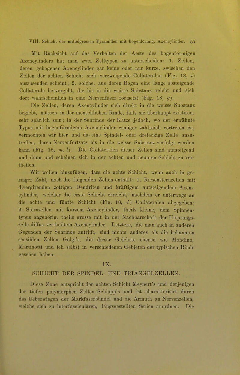 Mit Kücksicht auf das Verhalten der Aeste des bogenförmigen Axencylinders hat man zwei Zelltypen zu unterscheiden: 1. Zellen, deren gebogener Axencylinder gar keine oder nur kurze, zwischen den Zellen der achten Schicht sich verzweigende Collateralen (Fig. 18, i) auszusenden scheint; 2. solche, aus deren Bogen eine lange absteigende Collaterale hervorgeht, die bis in die weisse Substanz reicht und sich dort wahrscheinlich in eine Nervenfaser fortsetzt (Fig. 18, g). Die Zellen, deren Axencylinder sich direkt in die weisse Substanz begiebt, müssen in der menschlichen Rinde, falls sie überhaupt existiren, sehr spärlich sein; in der Sehrinde der Katze jedoch, wo der erwähnte Typus mit bogenförmigem Axencylinder weniger zahlreich vertreten ist, vermochten wir hier und da eine Spindel- oder dreieckige Zelle anzu- treffen, deren Nervenfortsatz bis in die weisse Substanz verfolgt werden kann (Fig. 18, m, l). Die Collateralen dieser Zellen sind aufsteigend und dünn und scheinen sich in der achten und neunten Schicht zu ver- theilen. Wir wollen hinzufügen, dass die achte Schicht, wenn auch in ge- ringer Zahl, noch die folgenden Zellen enthält: 1. Riesensternzellen mit divergirenden zottigen Dendriten und kräftigem aufsteigendem Axen- cylinder, welcher die erste Schicht erreicht, nachdem er unterwegs an die achte und fünfte Schicht (Fig. 18, J) Collateralen abgegeben; 2. Sternzellen mit kurzem Axencylinder, theils kleine, dem Spinnen- typus angehörig, theils grosse mit in der Nachbarschaft der Ursprungs- zelle diffus vertheiltem Axencylinder. Letztere, die man auch in anderen Gegenden der Sehrinde antrifft, sind nichts anderes als die bekannten sensiblen Zellen Golgi's, die dieser Gelehrte ebenso wie Mondino, Martinotti und ich selbst in verschiedenen Gebieten der typischen Rinde gesehen haben. IX. SCHICHT DER SPINDEL- UND TRIANGELZELLEN. Diese Zone entspricht der achten Schicht Meynert's und derjenigen der tiefen polymorphen Zellen Schlapp's und ist charakterisirt durch das Ueberwiegen der Markfaserbündel und die Armuth an Nervenzellen, welche sich zu interfasciculären, längsgestellten Serien anordnen. Die