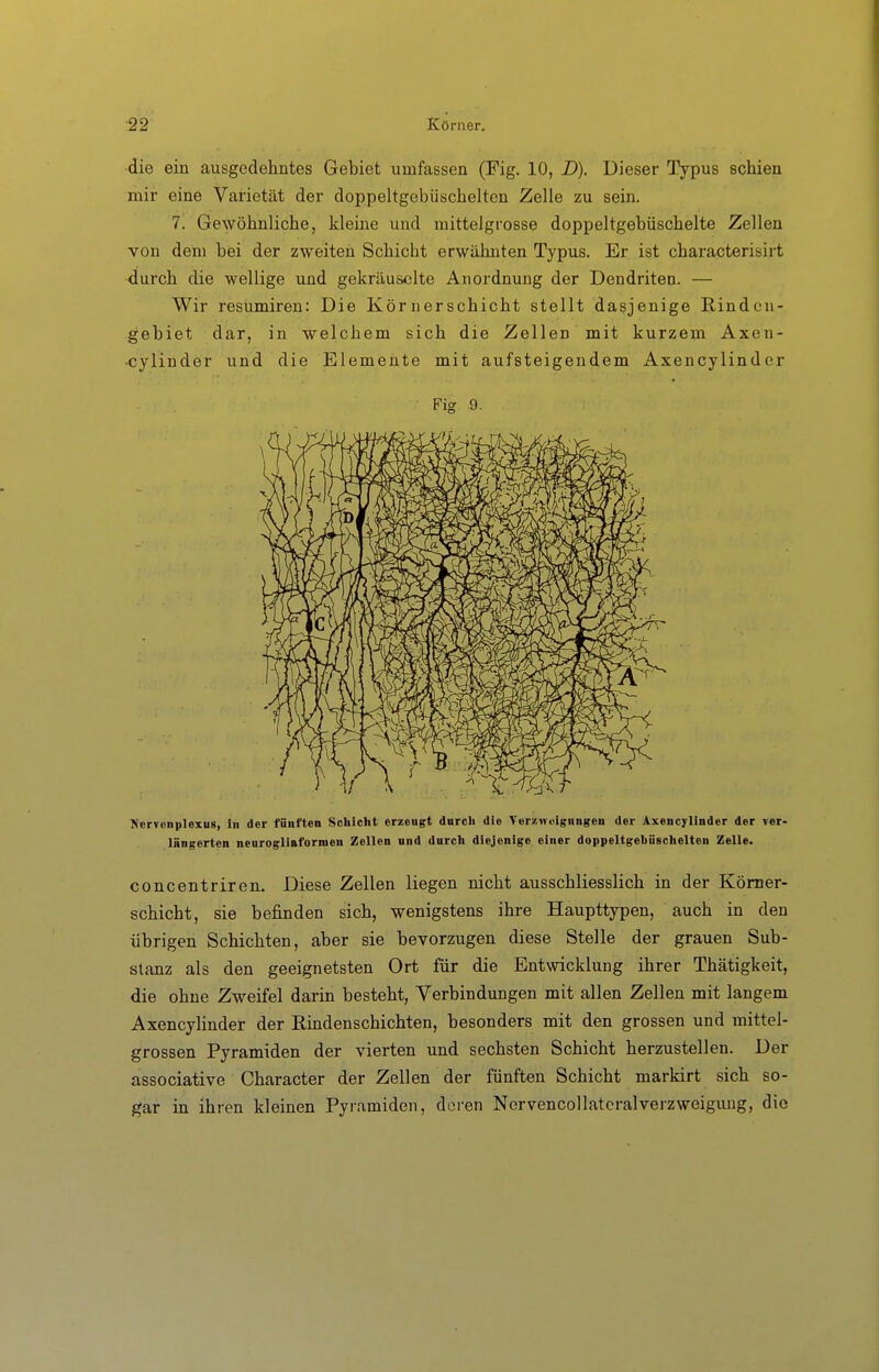 die ein ausgedehntes Gebiet umfassen (Fig. 10, D). Dieser Typus schien mir eine Varietät der doppeltgebüschelten Zelle zu sein. 7. Gewöhnliche, kleine und mittelgrosse doppeltgebüschelte Zellen von dem bei der zweiten Schicht erwähnten Typus. Er ist characterisirt durch die wellige und gekräuselte Anordnung der Dendriten. — Wir resumiren: Die Körnerschiebt stellt dasjenige Rinden- gebiet dar, in welchem sich die Zellen mit kurzem Axen- •cylinder und die Elemente mit aufsteigendem Axencylinder Fig 9. ^«erTcnplexus, in der fünften Schicht erzengt durch die Verzweigungen der Axencylinder der ver- längerten nenrogliaformen Zellen nnd durch diejenige einer doppeltgebüschelten Zelle. concentriren. Diese Zellen liegen nicht ausschliesslich in der Kömer- schicht, sie befinden sich, wenigstens ihre Haupttypen, auch in den übrigen Schichten, aber sie bevorzugen diese Stelle der grauen Sub- stanz als den geeignetsten Ort für die Entwicklung ihrer Thätigkeit, die ohne Zweifel darin besteht, Verbindungen mit allen Zellen mit langem Axencylinder der ßmdenschichten, besonders mit den grossen und mittel- grossen Pyramiden der vierten und sechsten Schicht herzustellen. Der associative Character der Zellen der fünften Schicht markirt sich so- gar in ihren kleinen Pyramiden, deren Nervencollatcralveizweiguug, die