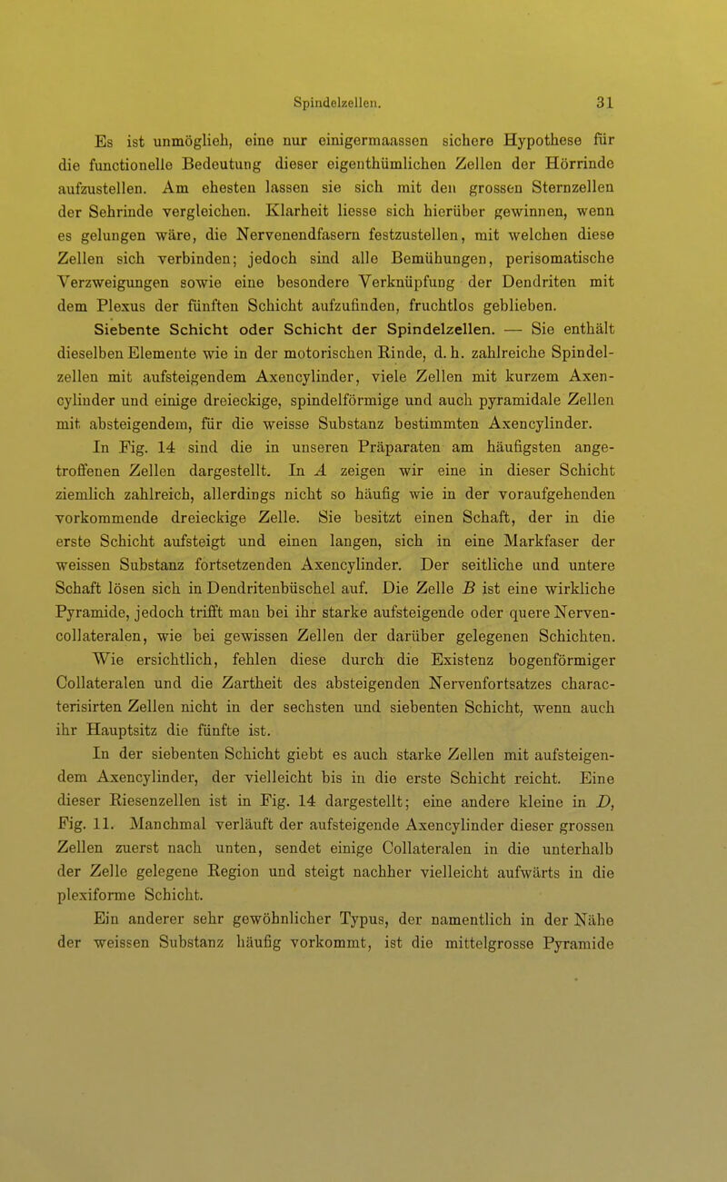 Es ist unmöglieb, eine nur einigermafissen sichere Hypothese für die functionelle Bedeutung dieser eigenthümlichea Zellen der Hörrinde aufzustellen. Am ehesten lassen sie sich mit den grossen Sternzellen der Sehrinde vergleichen. Klarheit Hesse sich hierüber gewinnen, wenn es gelungen wäre, die Nervenendfasern festzustellen, mit welchen diese Zellen sich verbinden; jedoch sind alle Bemühungen, perisomatische Verzweigungen sowie eine besondere Verknüpfung der Dendriten mit dem Plexus der fünften Schicht aufzufinden, fruchtlos geblieben. Siebente Schicht oder Schicht der Spindelzellen. — Sie enthält dieselben Elemente wie in der motorischen Rinde, d.h. zahlreiche Spindel- zellen mit aufsteigendem Axencylinder, viele Zellen mit kurzem Axen- cyliuder und einige dreieckige, spindelförmige und auch pyramidale Zellen mit absteigendem, für die weisse Substanz bestimmten Axencylinder. In Fig. 14 sind die in unseren Präparaten am häufigsten ange- troffenen Zellen dargestellt. In Ä zeigen wir eine in dieser Schicht ziemlich zahlreich, allerdings nicht so häufig wie in der voraufgehenden vorkommende dreieckige Zelle. Sie besitzt einen Schaft, der in die erste Schicht aufsteigt und einen langen, sich in eine Markfaser der weissen Substanz fortsetzenden Axencylinder. Der seitliche und untere Schaft lösen sich in Dendritenbüschel auf. Die Zelle B ist eine wirkliche Pyramide, jedoch trifft mau bei ihr starke aufsteigende oder quere Nerven- collateralen, wie bei gewissen Zellen der darüber gelegenen Schichten. Wie ersichtlich, fehlen diese durch die Existenz bogenförmiger Collateralen und die Zartheit des absteigenden Nervenfortsatzes charac- terisirten Zellen nicht in der sechsten und siebenten Schicht, wenn auch ihr Hauptsitz die fünfte ist. In der siebenten Schicht giebt es auch starke Zellen mit aufsteigen- dem Axencylinder, der vielleicht bis in die erste Schicht reicht. Eine dieser Riesenzellen ist in Fig. 14 dargestellt; eine andere kleine in D, Fig. 11. Manchmal verläuft der aufsteigende Axencylinder dieser grossen Zellen zuerst nach \inten, sendet einige Collateralen in die unterhalb der Zelle gelegene Region und steigt nachher vielleicht aufwärts in die plexiforme Schicht. Ein anderer sehr gewöhnlicher Typus, der namentlich in der Nähe der weissen Substanz häufig vorkommt, ist die mittelgrosse Pyramide