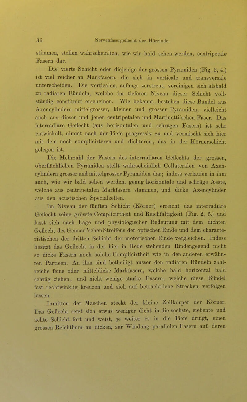 stimmen, stellen wahrscheinlich, wie wir bald sehen werden, centripetale Pasern dar. Die vierte Schicht oder diejenige der grossen Pyramiden (Fig. 2, 4.) ist viel reicher an Markfasern, die sich in verticale und transversale unterscheiden. Die verticalen, anfangs zerstreut, vereinigen sich alsbald zvL radiären Bündeln, welche im tieferen Niveau dieser Schicht voll- ständig constituirt erscheinen. Wie bekannt, bestehen diese Bündel aus Axencylindern mittelgrosser, kleiner und grosser Pyramiden, vielleicht auch aus dieser und jener centripetalen und Martinotti'sehen Faser. Das interi'adiäre Geflecht (aus horizontalen und schrägen Fasern) ist sehr entwickelt, nimmt nach der Tiefe progressiv zu und vermischt sich hier mit dem noch complicirteren und dichteren, das in der Körnerschicht gelegen ist. Die Mehrzahl der Fasern des interradiären Geflechts der grossen, oberflächlichen Pyramiden stellt wahrscheinlich CoUateralen von Axen- cylindern grosser und mittelgrosser Pyramiden dar; indess verlaufen in ihm auch, wie wir bald sehen werden, genug horizontale und schräge Aeste, welche aus centripetalen Markfasern stammen, und dicke Axencylinder aus den acustischen Specialzellen. Im Niveau der fünften Schicht (Körner) erreicht das interradiäre Geflecht seine grösste Complicirtheit und Reichfaltigkeit (Fig. 2, 5.) und lässt sich nach Lage und physiologischer Bedeutung mit dem dichten Geflecht des Gennari'schen Streifens der optischen Einde und dem characte- ristischen der dritten Schicht der motorischen Rinde vergleichen. Indess besitzt das Geflecht in der hier in Rede stehenden Rindengegend nicht so dicke Fasern noch solche Complicirtheit wie in den anderen erwähn- ten Partieen. An ihm sind betheiligt ausser den radiären Bündeln zahl- reiche feine oder mitteldicke Markfasem, welche bald horizontal bald schräg ziehen, und nicht wenige starke Fasern, welche diese Bündel fast rechtwinklig kreuzen und sich auf beträchtliche Strecken verfolgen lassen. Inmitten der Maschen steckt der kleine Zellkörper der Körner. Das Geflecht setzt sich etwas weniger dicht in die sechste, siebente und achte Schicht fort und weist, je weiter es in die Tiefe drmgt, einen grossen Reichthum an dicken, zur Windung parallelen Fasern auf, dereu