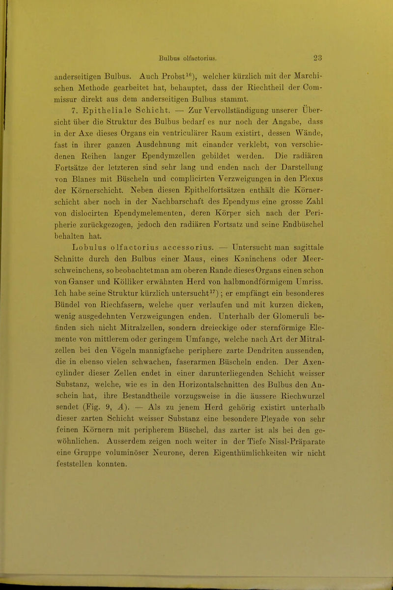 anderseitigen Bulbus. Auch Probst^), welcher kürzlich mit der Marchi- schen Methode gearbeitet hat, behauptet, dass der Riechtheil der Com- niissur direkt aus dem anderseitigen Bulbus stammt. 7. Epitheliale Schicht. — Zur Vervollständigung unserer Über- sicht über die Struktur des Bulbus bedarf es nur noch der Angabe, dass in der Axe dieses Organs ein ventriculärer Raum existirt, dessen Wände, fast in ihrer ganzen Ausdehnung mit einander verklebt, von verschie- denen Reihen langer Ependymzellen gebildet weiden. Die radiären Fortsätze der letzteren sind sehr lang und enden nach der Darstellung von Blanes mit Büscheln und complicirten Verzweigungen in den Plexus der Körnerschicht. Neben diesen Epithelfortsätzen enthält die Körner- schicht aber noch in der Nachbarschaft des Ependyms eine grosse Zahl von dislocirten Ependymelementen, deren Körper sich nach der Peri- pherie zurückgezogen, jedoch den radiären Fortsatz und seine Endbüschel behalten hat. Lobulus olfactorius accessorius. — Untersucht man sagittale Schnitte durch den Bulbus einer Maus, eines Kaninchens oder Meer- schweinchens, sobeobachtetman am oberen Rande dieses Organs einen schon von Ganser und Kölliker erwähnten Herd von halbmondförmigem Umriss. Ich habe seine Struktur kürzlich untersuchte^); er empfängt ein besonderes Bündel von Riechfasern, welche quer verlaufen und mit kurzen dicken, wenig ausgedehnten Verzweigungen enden. Unterhalb der Glomeruli be- finden sich nicht Mitralzellen, sondern dreieckige oder sternförmige Ele- mente von mittlerem oder geringem Umfange, welche nach Art der Mitral- zellen bei den Vögeln mannigfache periphere zarte Dendriten aussenden, die in ebenso vielen schwachen, faserarmen Büscheln enden. Der Axen- cylinder dieser Zellen endet in einer darunterliegenden Schicht weisser Substanz, welche, wie es in den Horizontalschnitten des Bulbus den An- schein hat, ihre Bestandtheile vorzugsweise in die äussere Riechwurzel sendet (Fig. 9, Ä). — Als zu jenem Herd gehörig existirt unterhalb dieser zarten Schicht weisser Substanz eine besondere Pleyade von sehr feinen Körnern mit peripherem Büschel, das zarter ist als bei den ge- wöhnlichen. Ausserdem zeigen noch weiter in der Tiefe Nissl-Präparate eine GrujDpe voluminöser Neurone, deren Eigenthümlichkeiten wir nicht feststellen konnten.
