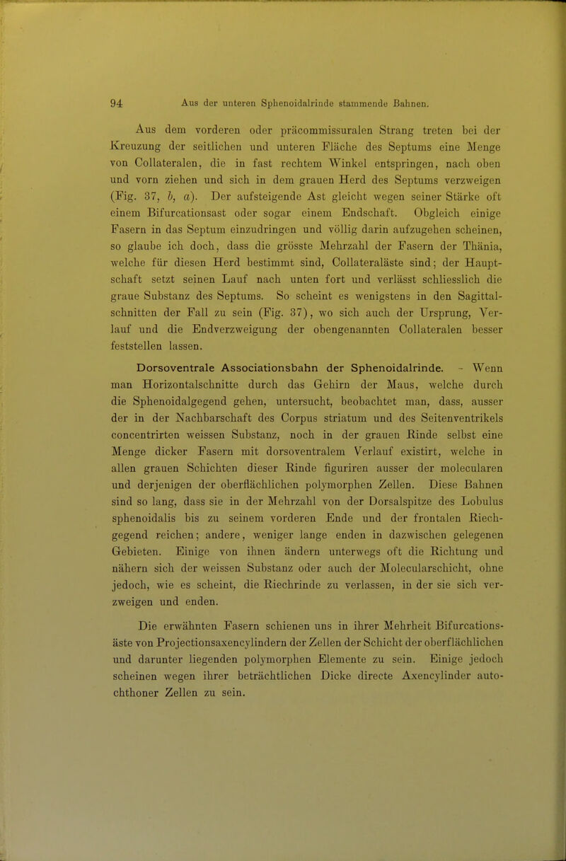 Aus dem vorderen oder präcommissuralen Strang treten bei der Kreuzung der seitlichen und unteren Fläche des Septums eine Menge von CoUateralen, die in fast rechtem Winkel entspringen, nach oben und vorn ziehen und sich in dem grauen Herd des Septums verzweigen (Fig. 37, h, a). Der aufsteigende Ast gleicht wegen seiner Stärke oft einem Bifurcationsast oder sogar einem Endschaft. Obgleich einige Fasern in das Septum einzudringen und völlig darin aufzugehen scheinen, so glaube ich doch, dass die grösste Mehrzahl der Fasern der Thänia, welche für diesen Herd bestimmt sind, Collateraläste sind; der Haupt- schaft setzt seinen Lauf nach unten fort und verlässt schliesslich die graue Substanz des Septums. So scheint es wenigstens in den Sagittal- schnitten der Fall zu sein (Fig. 37), wo sich auch der Ursprung, Ver- lauf und die Endverzweigung der obengenannten CoUateralen besser feststellen lassen. Dorsoventrale Associationsbahn der Sphenoidalrinde. - Wenn man Horizontalschnitte durch das Gehirn der Maus, welche durch die Sphenoidalgegeud gehen, untersucht, beobachtet man, dass, ausser der in der Nachbarschaft des Corpus striatum und des Seitenventrikels concentrirten weissen Substanz, noch in der grauen Einde selbst eine Menge dicker Fasern mit dorsoventralem Verlauf existirt, welche in allen grauen Schichten dieser Rinde figuriren ausser der molecularen und derjenigen der oberflächlichen polymorphen Zellen. Diese Bahnen sind so lang, dass sie in der Mehrzahl von der Dorsalspitze des Lobulus sphenoidalis bis zu seinem vorderen Ende und der frontalen ßiech- gegend reichen; andere, weniger lange enden in dazwischen gelegenen Gebieten. Einige von ihnen ändern unterwegs oft die Richtung und nähern sich der weissen Substanz oder auch der Molecularschicht, ohne jedoch, wie es scheint, die Riechrinde zu verlassen, in der sie sich ver- zweigen und enden. Die erwähnten Fasern schienen uns in ihrer Mehrheit Bifurcations- äste von Projectionsaxencylindern der Zellen der Schicht der oberflächlichen und darunter liegenden polymorphen Elemente zu sein. Einige jedoch scheinen wegen ihrer beträchtlichen Dicke directe Axencylinder auto- chthoner Zellen zu sein.