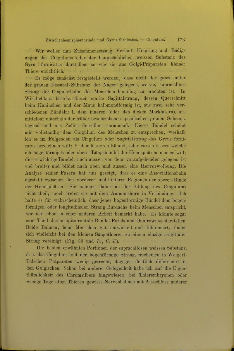 Wir wollen nun Zusammensetzung, Verlauf, Ursprung und Endig- utogeh des Cinguluins oder der hauptsäclilichen weissen Substanz des Gyrus fornicatus darstellen, so wie sie aus Golgi-Präparaten kleiner Thiere ersichtlich. >  . :. ■ Es möge zuBächst festgestellt werden, dass nicht der ganze unter der grauen Fissural-Substanz der Nager gelegene, weisse, supracallöse Strang der Cingularbahn des Menschen homolog zu erachten ist. In Wirklichkeit besteht dieser starke Sagittalstrang, dessen Querschnitt beim Kaninchen und der Maus halbmondförmig ist, aus zwei sehr ver- schiedenen Bündeln: 1. dem inneren (oder den dicken Markfasern), un- mittelbar unterhalb der früher beschriebenen specifischen grauen Substanz liegend und aus Zellen derselben stammend. Dieses Bündel scheint mir vollständig dem Cingulum des Menschen zu entsprechen, weshalb ich es im Folgenden als Cingulum oder Sagittalstrang des Gyrus forni- catus bezeichnen will; 2. dem äusseren Bündel, oder zarten Pasern^welche ich bogenförmiges oder oberes Längsbündel der Hemisphären nennen will; dieses wichtige Bündel, nach aussen von dem voraufgehenden gelegen, ist viel breiter und bildet nach oben und aussen eine Hervor Wölbung. Die Analyse seiner Fasern hat uns gezeigt, dass es eine Associationsbahn darstellt zwischen den vorderen und hinteren Regionen der oberen Rinde der Hemisphären. Sie nehmen daher an der Bildung des Cingulums nicht theil, noch treten sie mit dem Ammonshorn in Verbindung. Ich halte es für wahrscheinlich, dass jenes bogenförmige Bündel dem bogen- förmigen oder longitudinalen Strang Burdachs beim Menschen entspricht, wie ich schon in einer anderen Arbeit bemerkt habe. Es könnte sogar zum Theil das occipitofrontale Bündel Foreis und Onufrowiczs darstellen. Beide Bahnen, beim Menschen gut entwickelt und differencirt, finden sich vielleicht bei den kleinen Säugethieren zu einem einzigen sagittalen Strang vereinigt (Fig. 33 und 75, C, E). Die beiden erwähnten Portionen der supracallösen weissen Substanz, d. i. das Cingulum und der bogenförmige Strang, erscheinen in Weigert- Palschen Präparaten wenig getrennt, dagegen deutlich differencirt in den Golgischeü. Schon bei anderer Gelegenheit habe ich auf die Eigen- thümlichkeit des Chromsilbers hingewiesen, bei Thierembryonen oder wenige Tage alten Thieren gewisse Nervenbahnen mit Ausschluss anderer