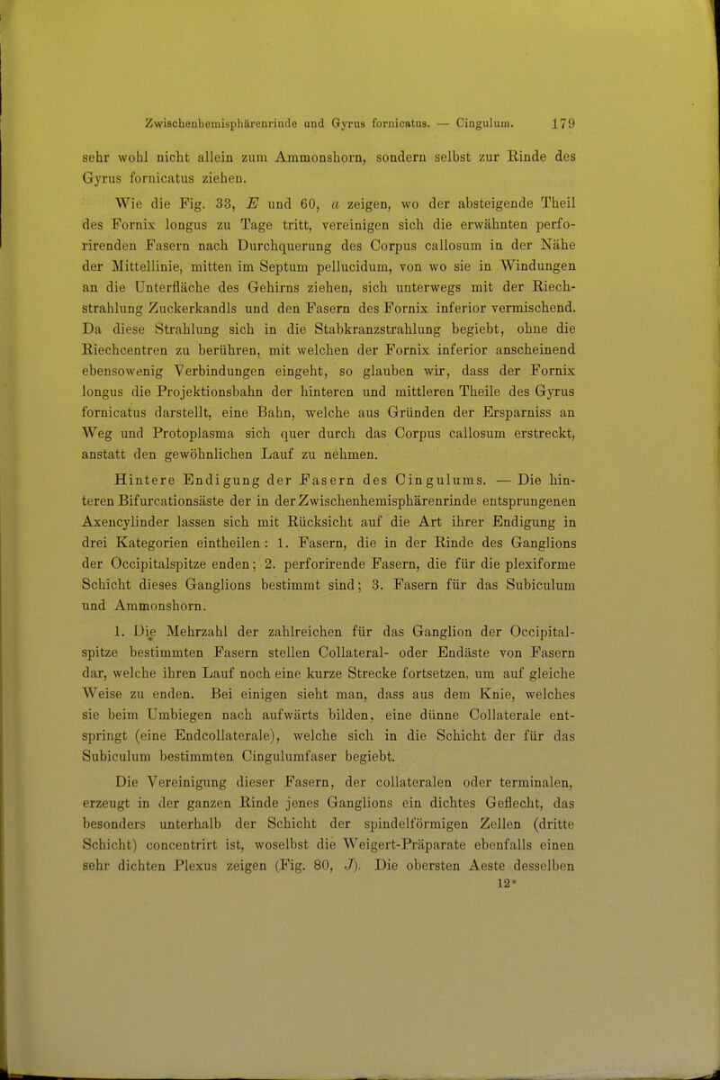 sehr wohl nicht allein zum Ammonshorn, sondern selbst zur Rinde des Gyrus fornicatus ziehen. Wie die Fig. 33, E und 60, a zeigen, wo der absteigende Theil des Fornix longus zu Tage tritt, vereinigen sich die erwähnten perfo- rirenden Fasern nach Durchquerung des Corpus callosum in der Nähe der Mittellinie, mitten im Septum pellucidum, von wo sie in Windungen an die ünterfläche des Gehirns ziehen, sich unterwegs mit der Riech- strahlung Zuckerkandis und den Fasern des Fornix inferior vermischend. Da diese Strahlung sich in die Stabkranzstrahlung begiebt, ohne die Riechcentren zu berühren, mit welchen der Fornix inferior anscheinend ebensowenig Verbindungen eingeht, so glauben wir, dass der Fornix longus die Projektionsbahn der hinteren und mittleren Theile des Gyrus fornicatus darstellt, eine Bahn, welche aus Gründen der Ersparniss an Weg und Protoplasma sich quer durch das Corpus callosum erstreckt, anstatt den gewöhnlichen Lauf zu nehmen. Hintere Endigung der Fasern des Cingulums. — Die hin- teren Bifurcationsäste der in der Zwischenhemisphärenrinde entsprungenen Axencylinder lassen sich mit Rücksicht auf die Art ihrer Endigung in drei Kategorien eintheilen : 1. Fasern, die in der Rinde des Ganglions der Occipitalspitze enden; 2. perforirende Fasern, die für die plexiforme Schicht dieses Ganglions bestimmt sind; 3. Fasern für das Subiculum und Ammonshorn. 1. Die Mehrzahl der zahlreichen für das Ganglion der Occipital- spitze bestimmten Fasern stellen Collateral- oder Endäste von Fasern dar, welche ihren Lauf noch eine kurze Strecke fortsetzen, um auf gleiche Weise zu enden. Bei einigen sieht man, dass aus dem Knie, welches sie beim Umbiegen nach aufwärts bilden, eine dünne Collaterale ent- springt (eine Endcollaterale), welche sich in die Schicht der für das Subiculum bestimmten Cingulumfaser begiebt. Die Vereinigung dieser Fasern, der collateralen oder terminalen, erzeugt in der ganzen Rinde jenes Ganglions ein dichtes Geflecht, das besonders unterhalb der Schicht der spindelförmigen Zellen (dritte Schicht) concentrirt ist, woselbst die Weigert-Präparate ebenfalls einen sehr dichten Plexus zeigen (Fig. 80, J). Die obersten Aeste desselben 12*